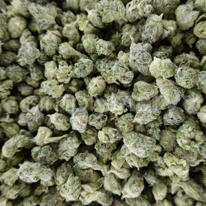 White Zlurpee simplymary thca flower