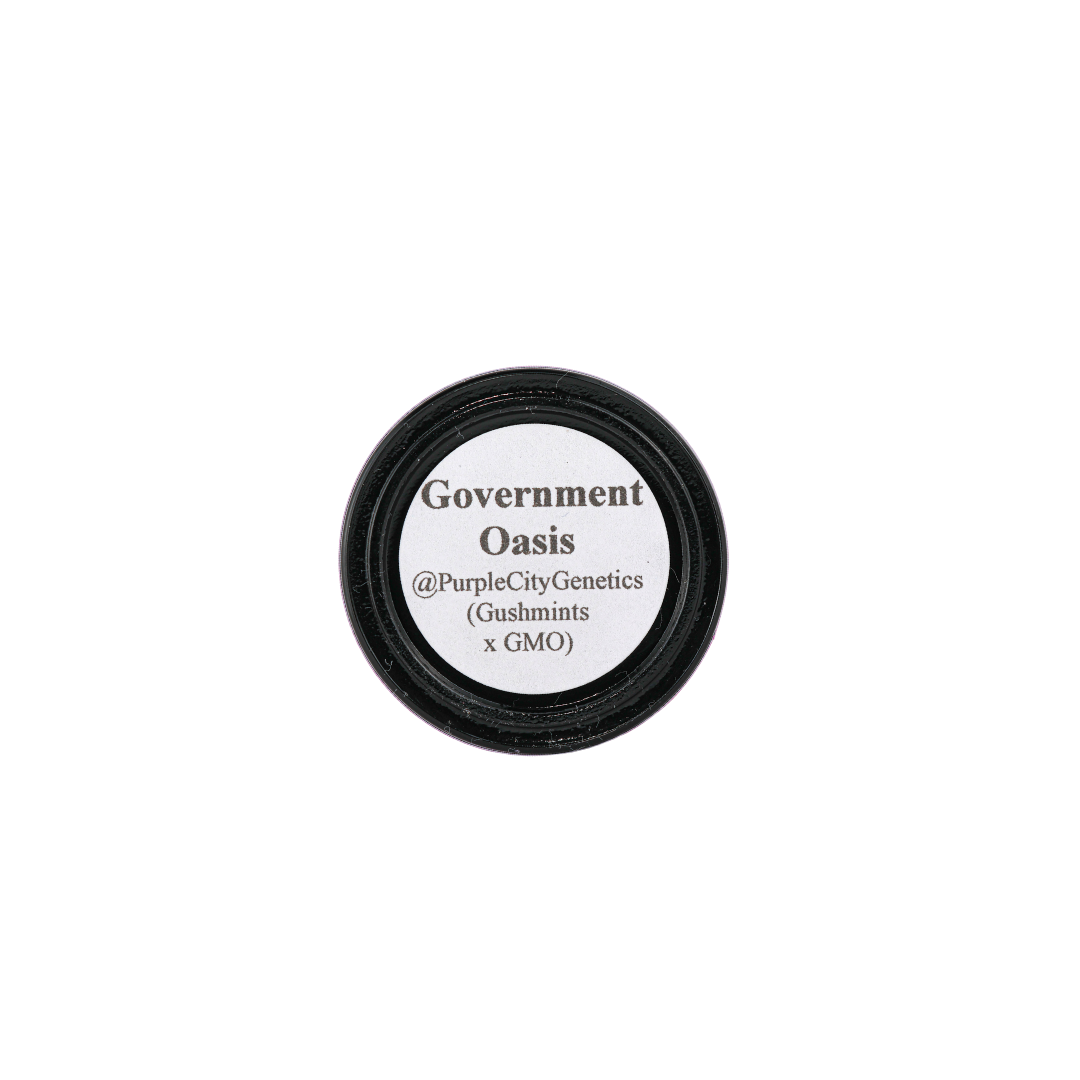 Government Oasis Rosin