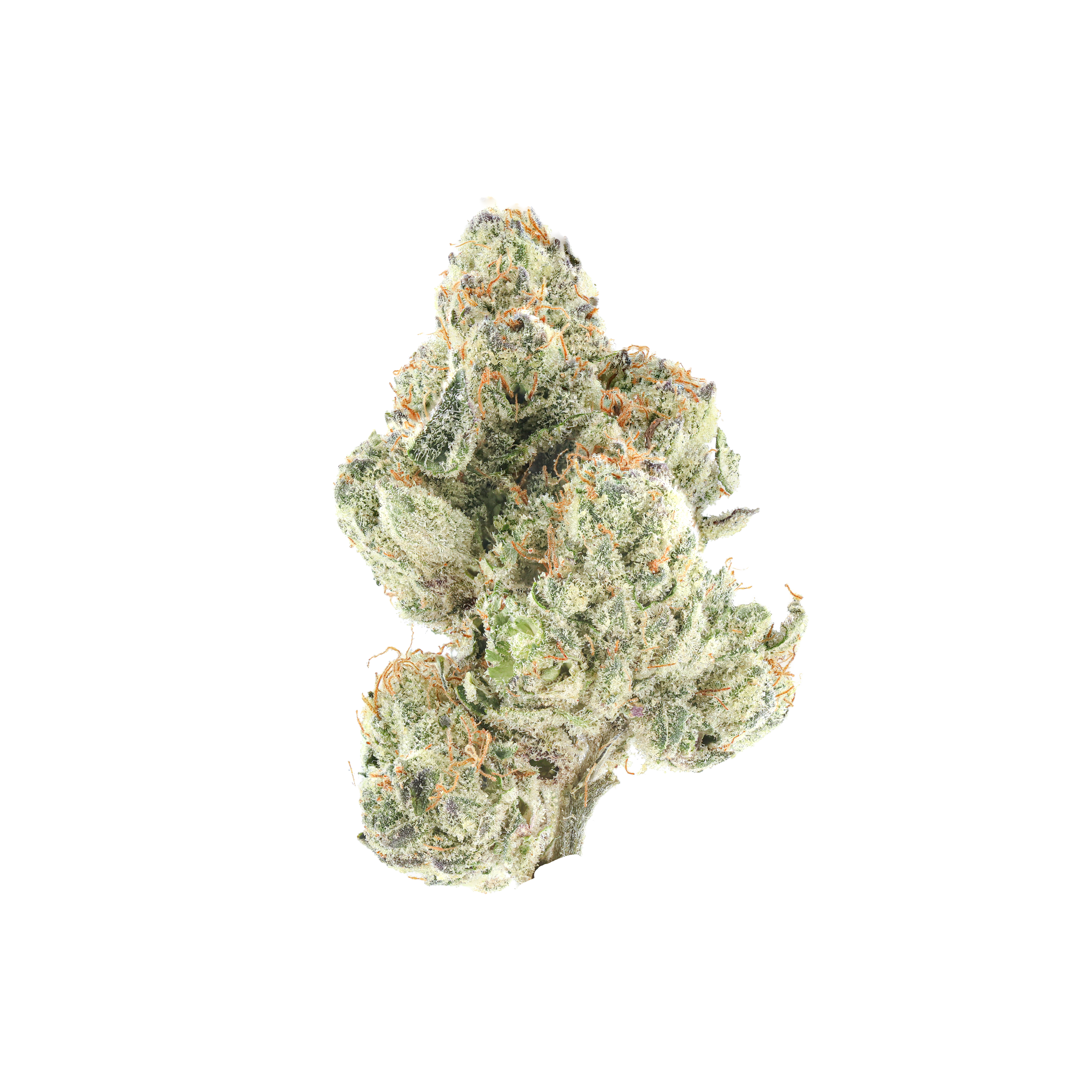 Berries & Cream