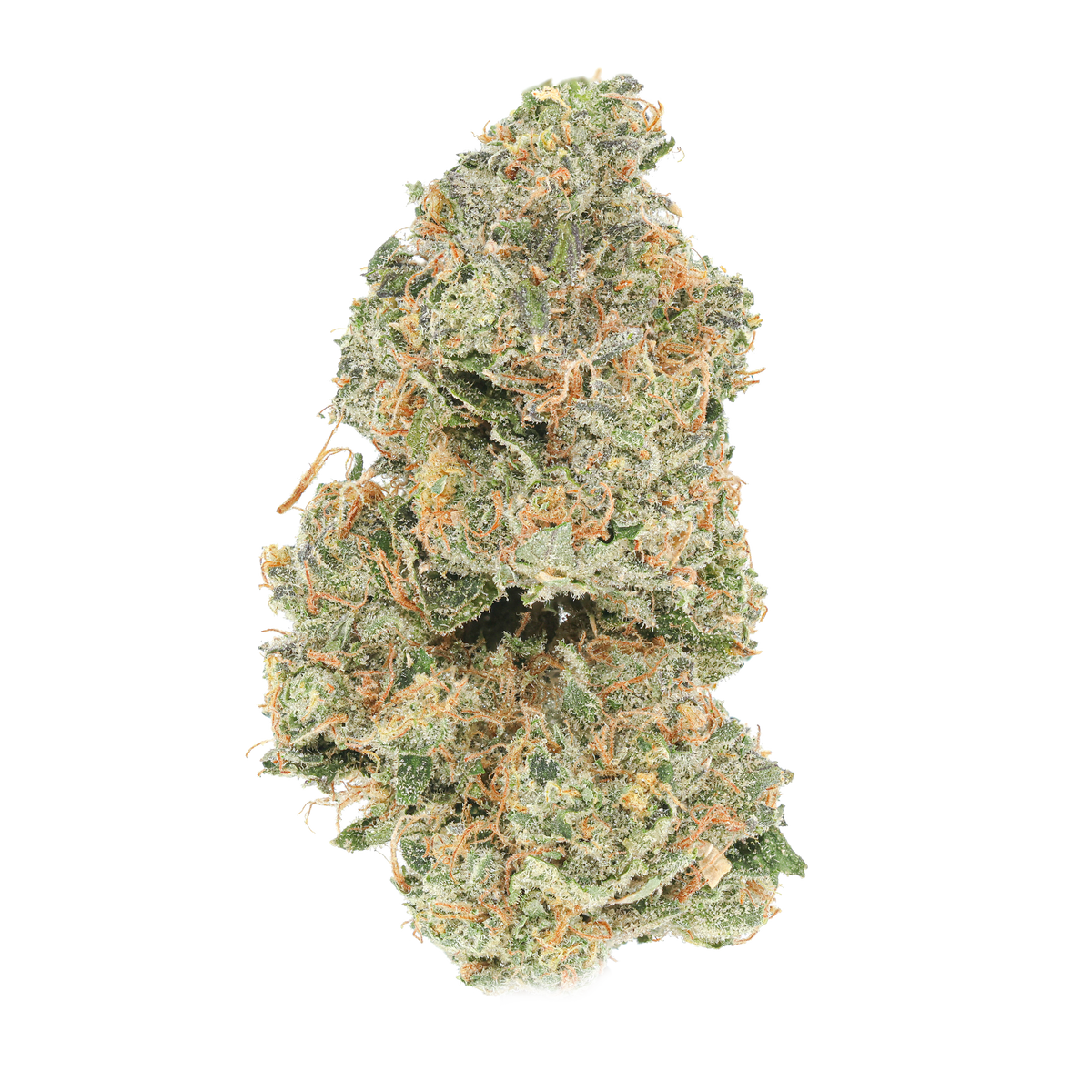 Black Zquid