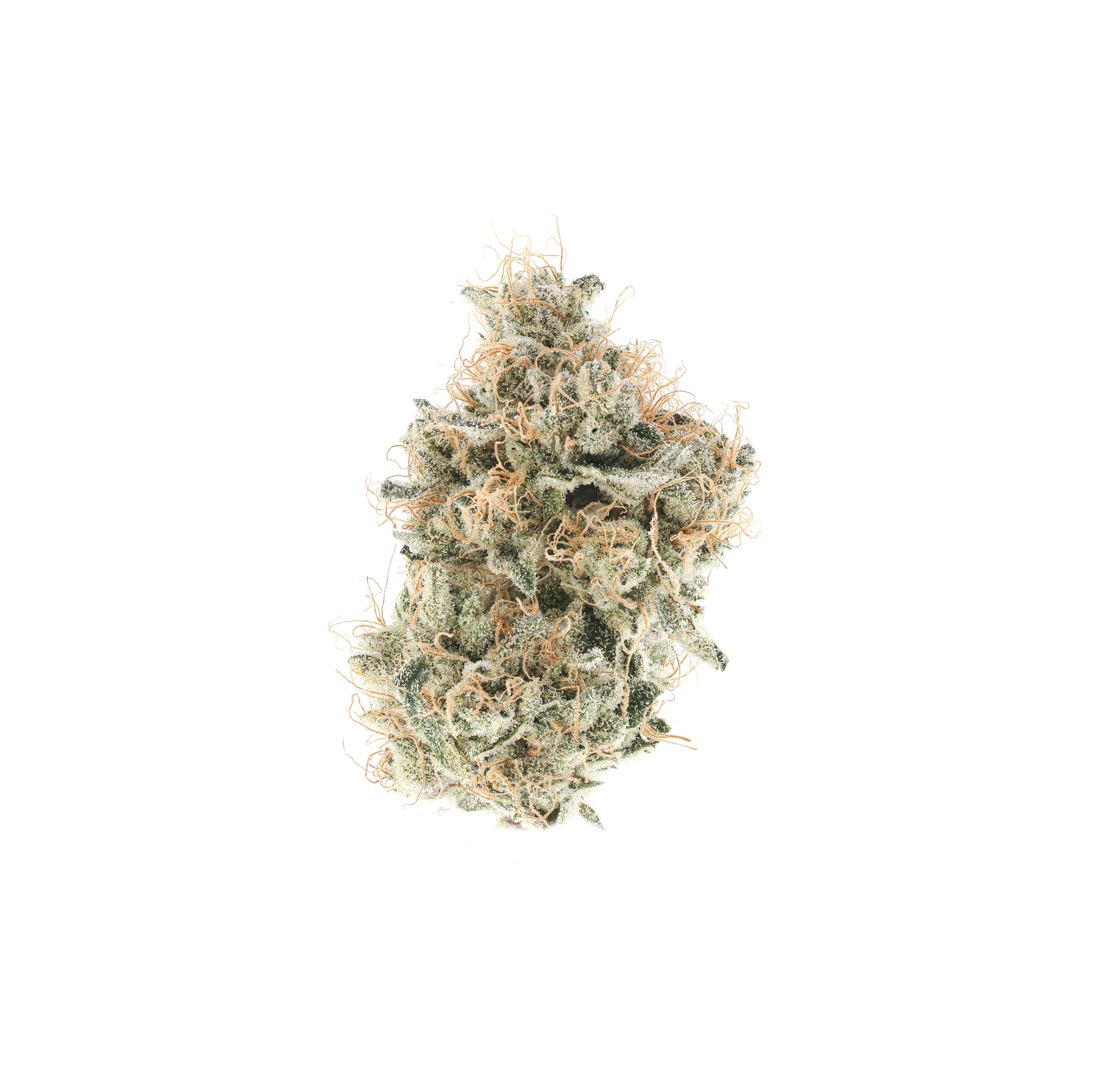 Doughlato