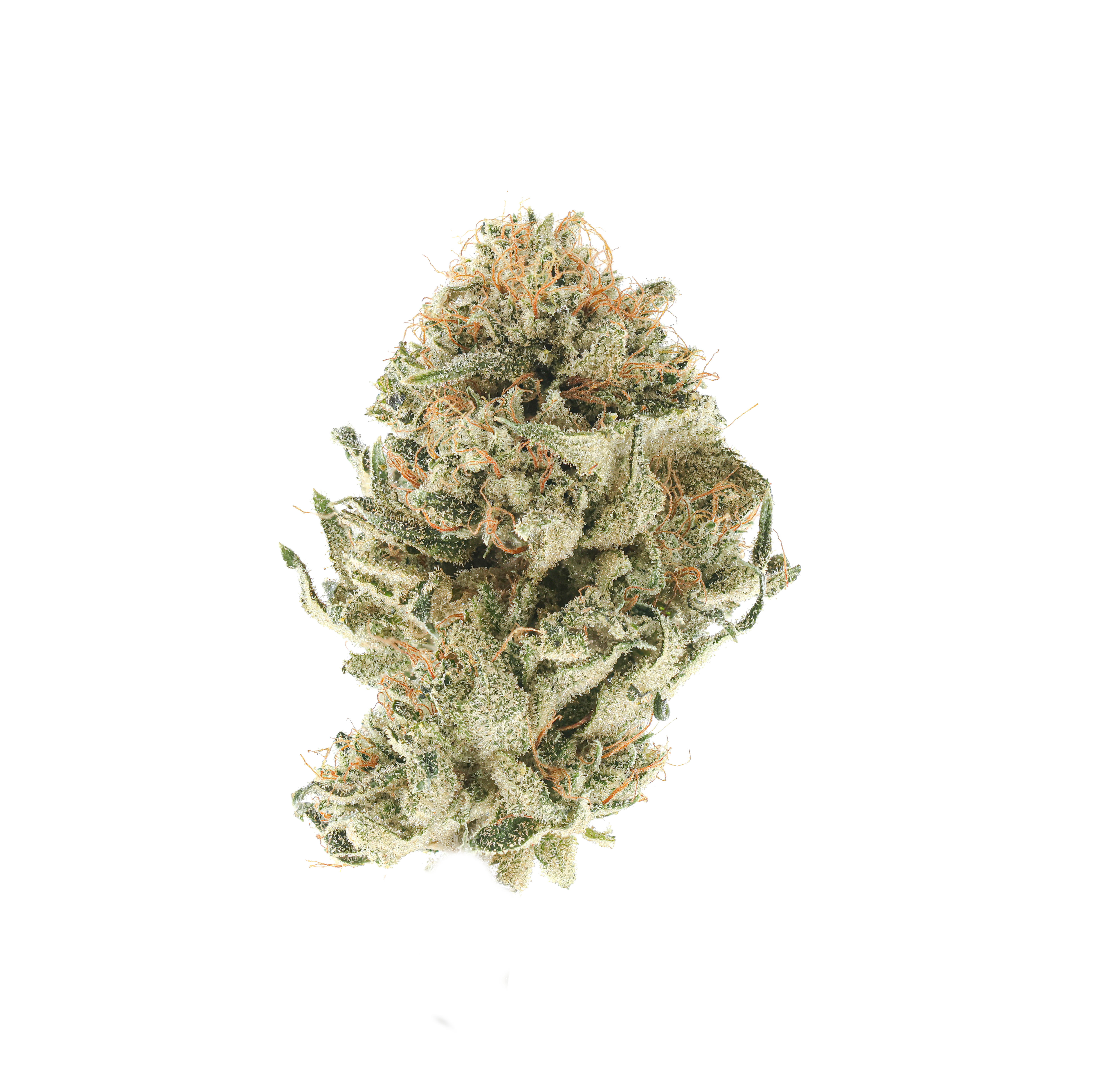 Frizzante