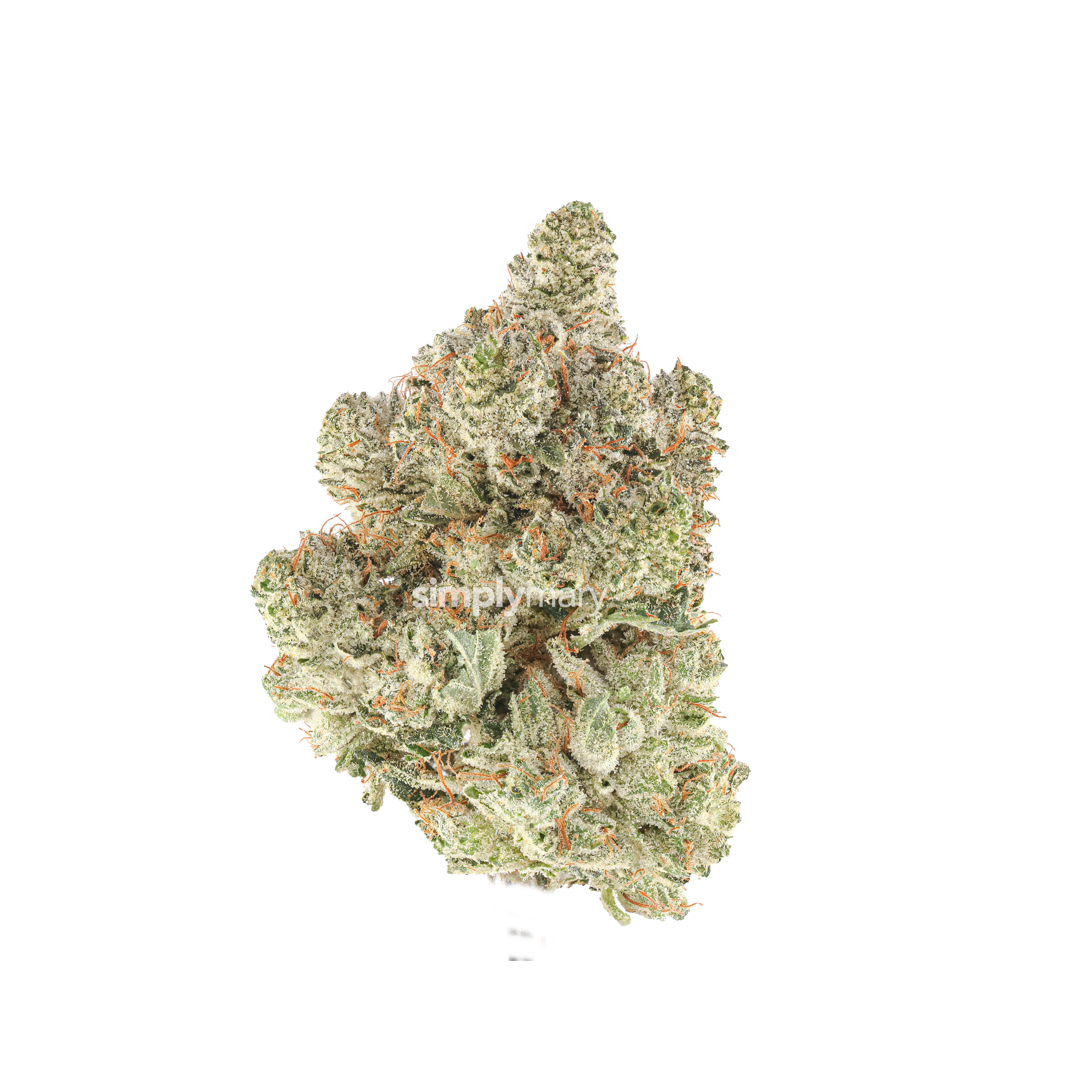 Gorilla Glue #4