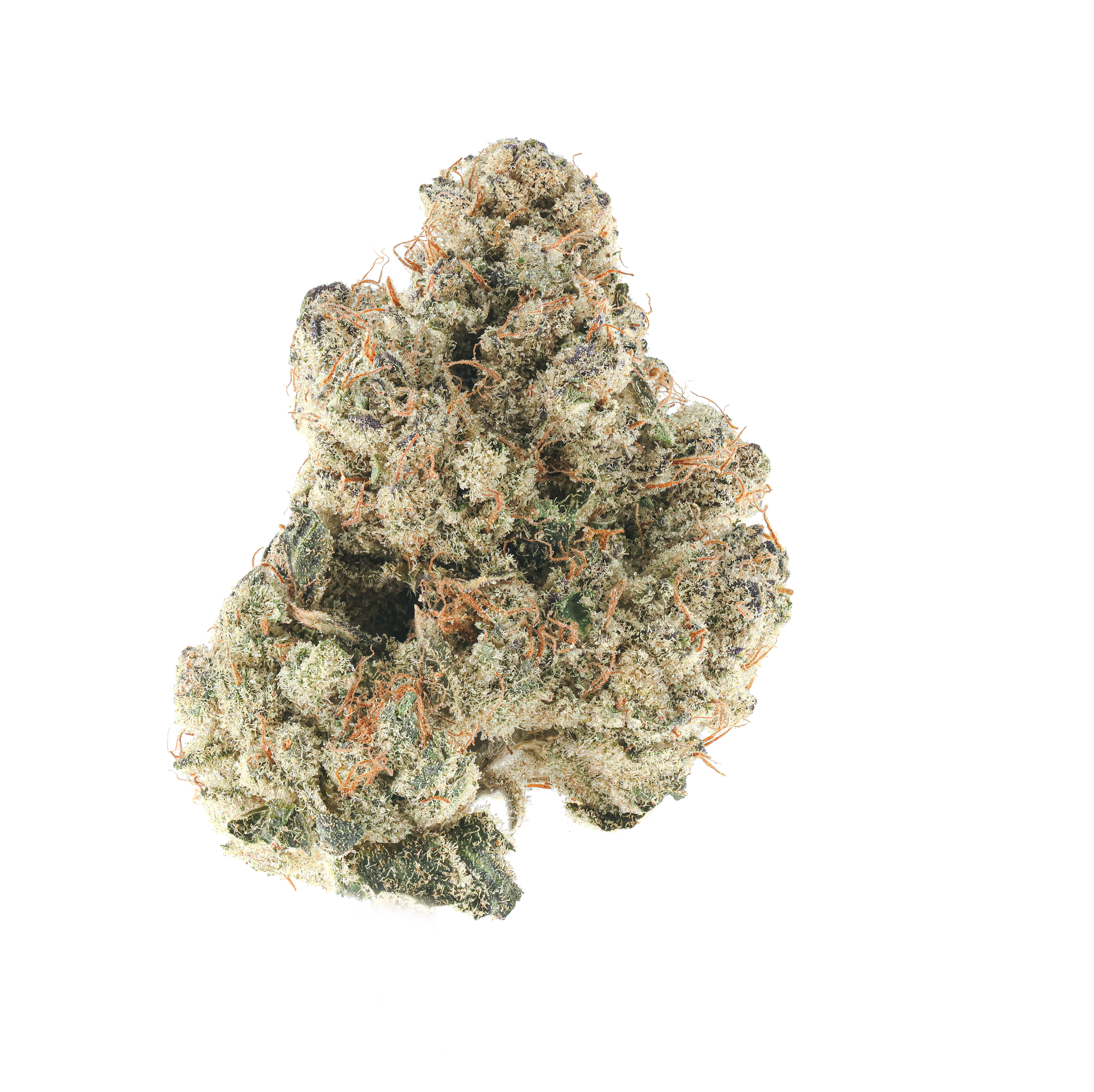 King Louie OG