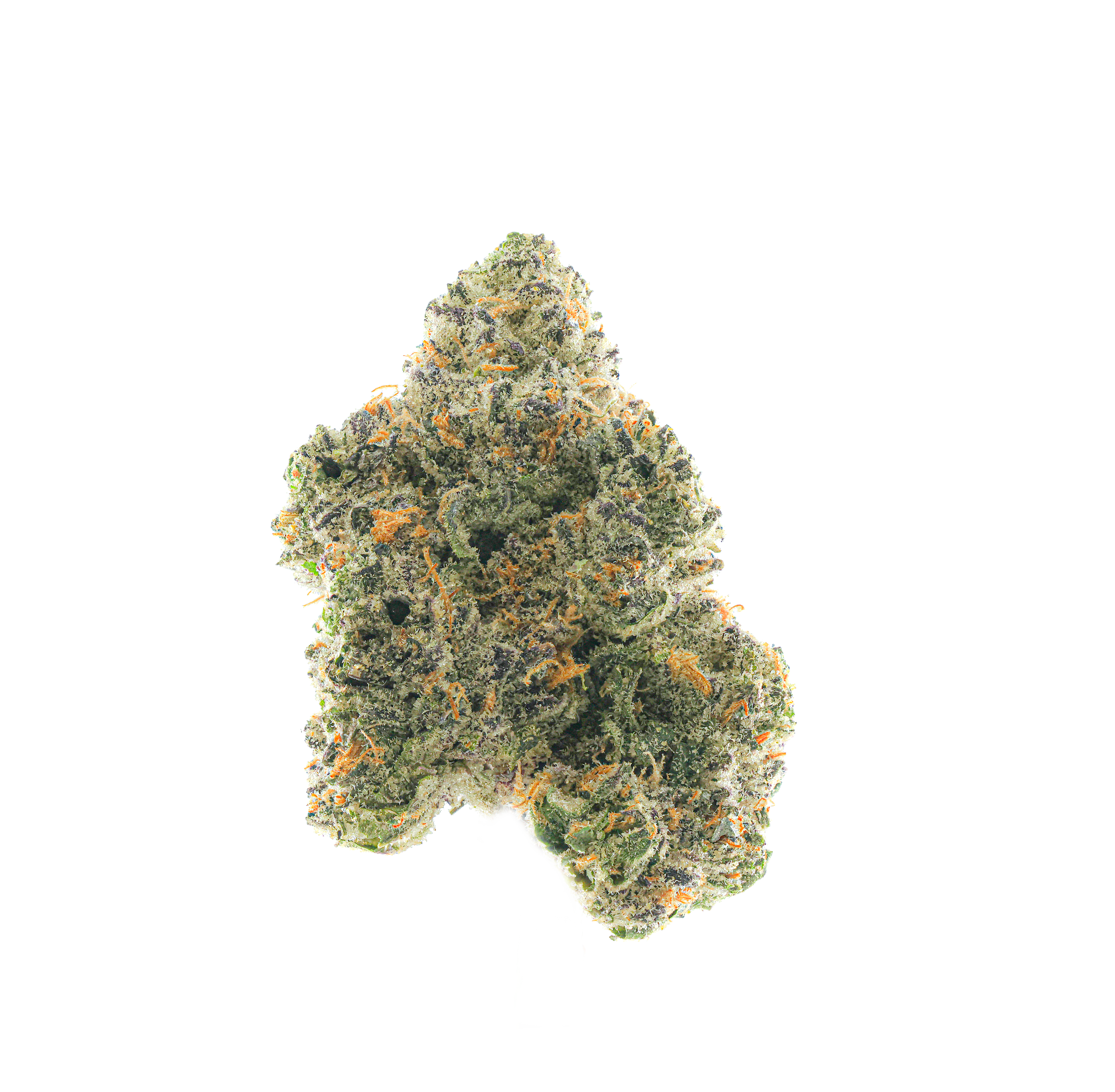 Neonz