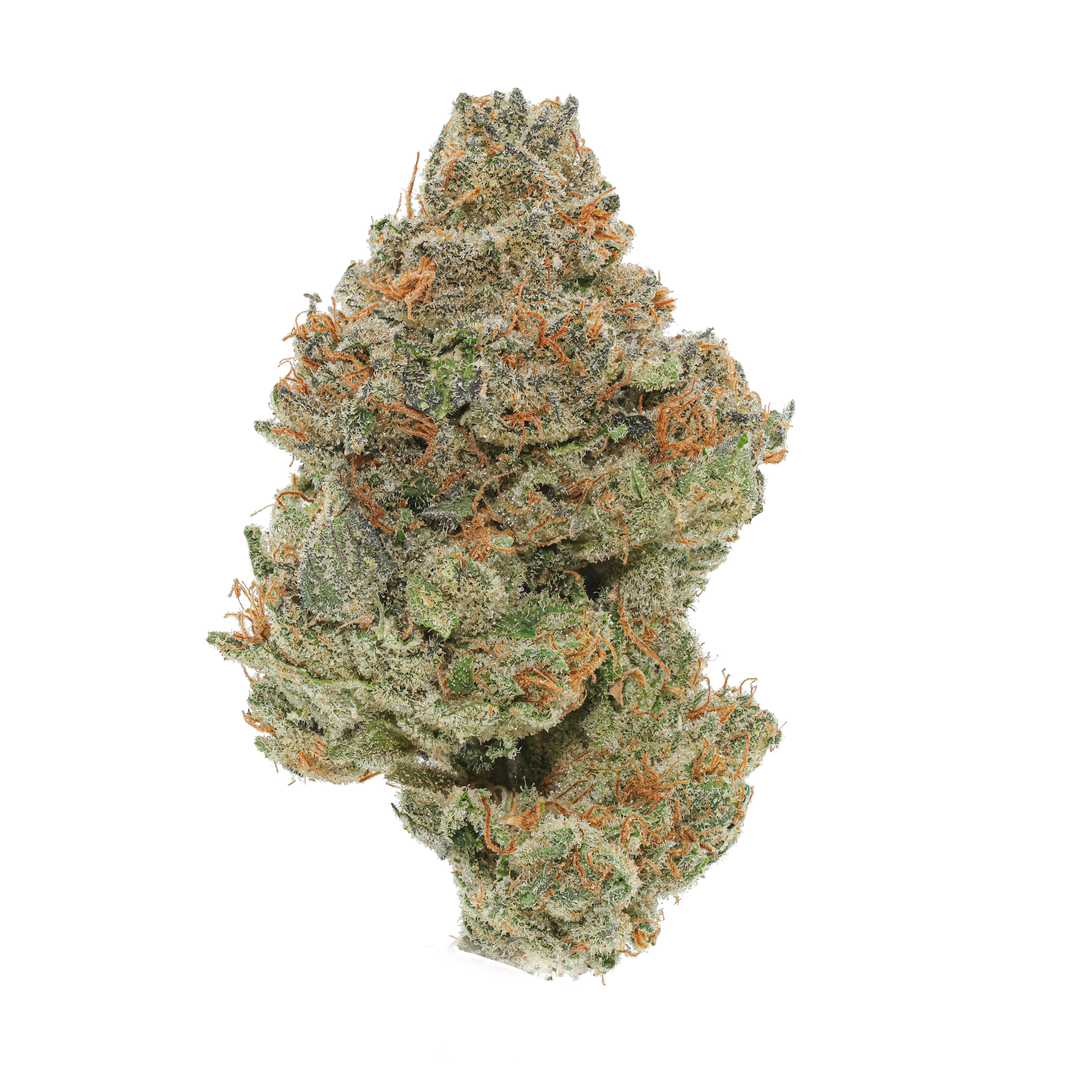 Z-Chew