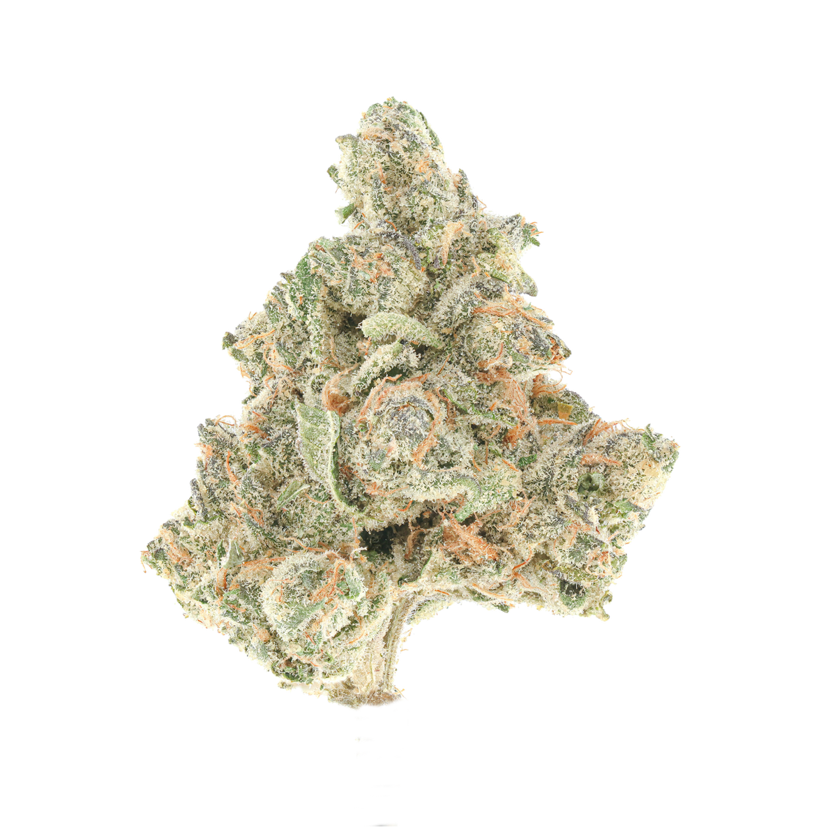 Zkitzo