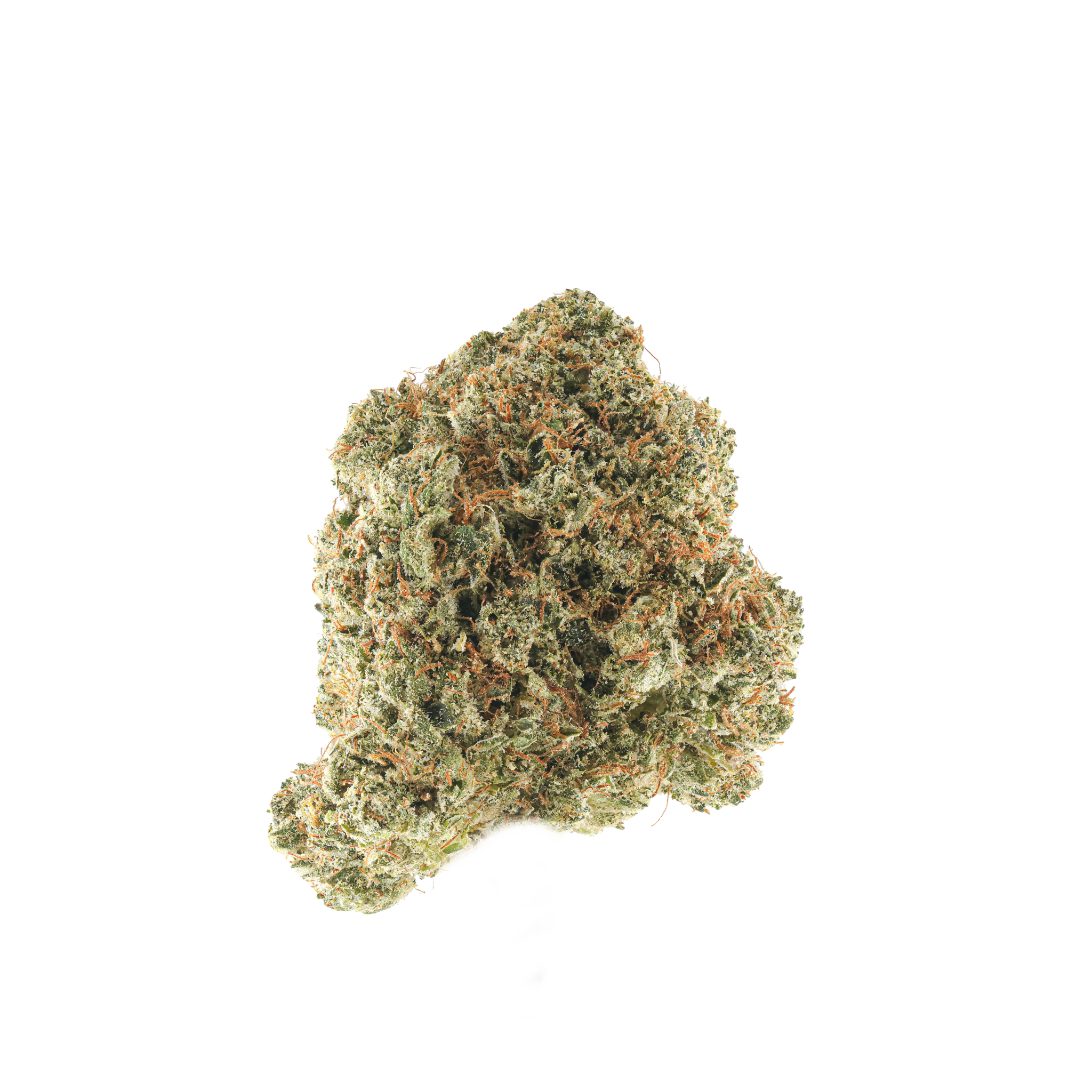 Abusive OG