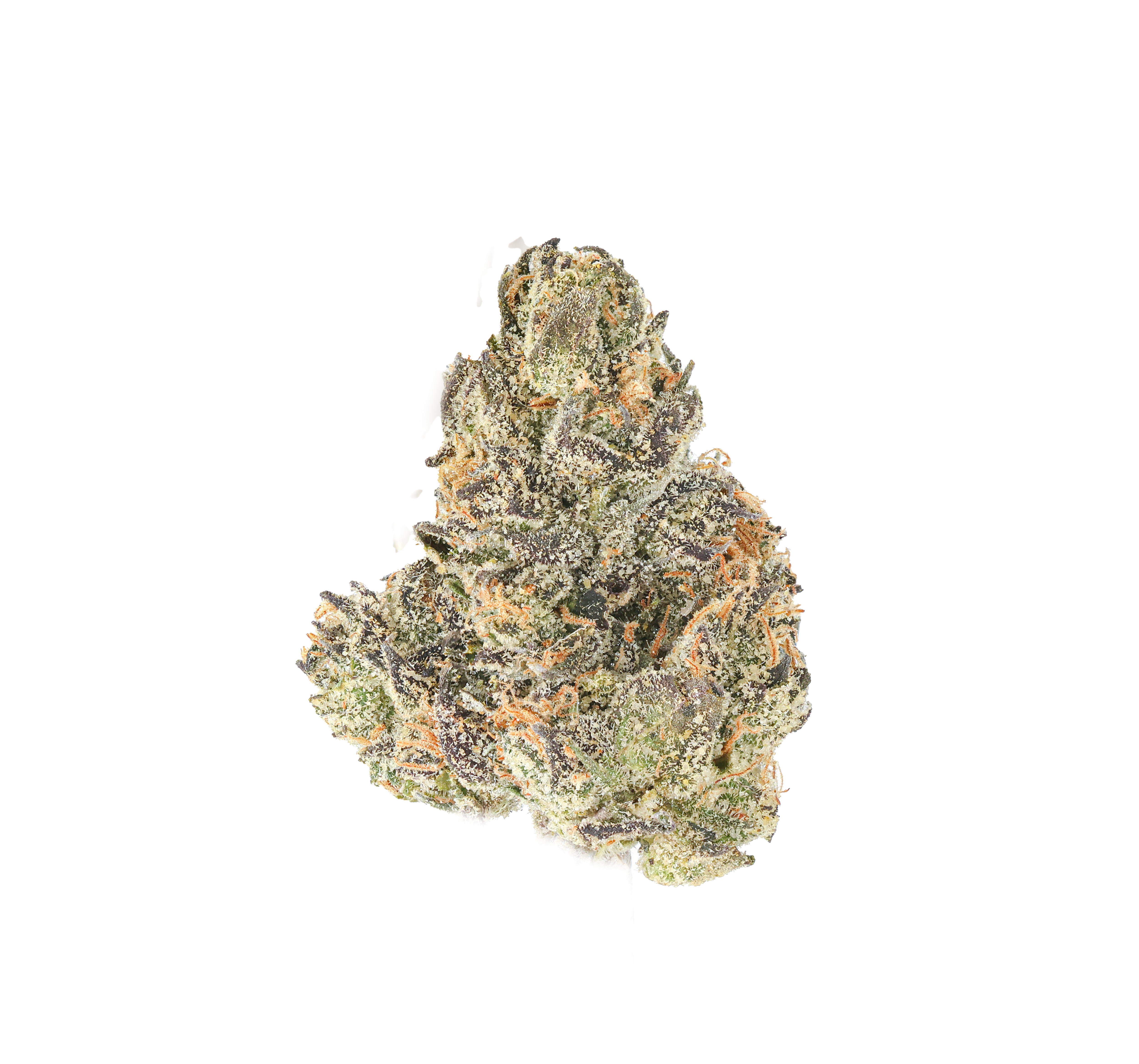 Alaskan Thunder Fuck