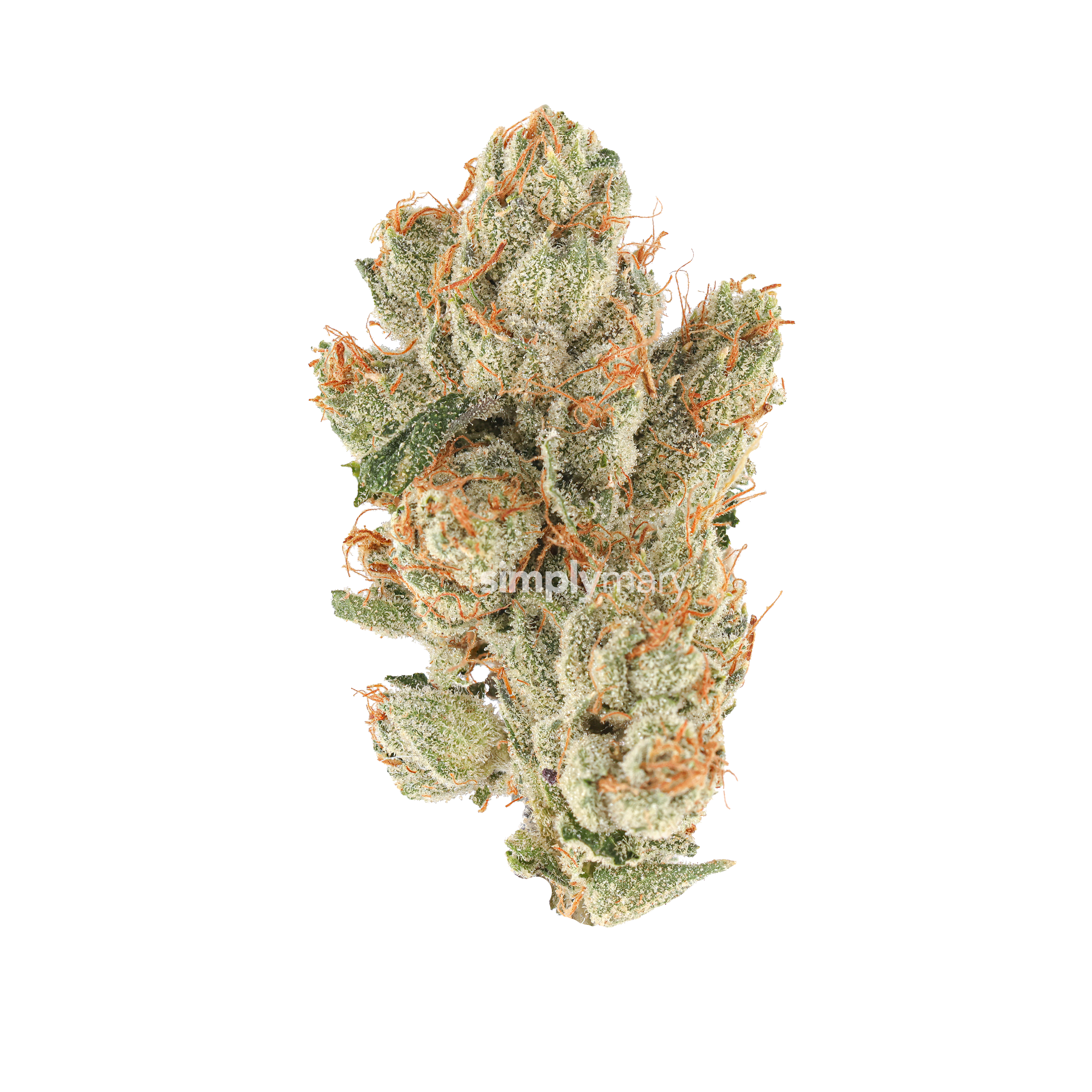 Alien OG