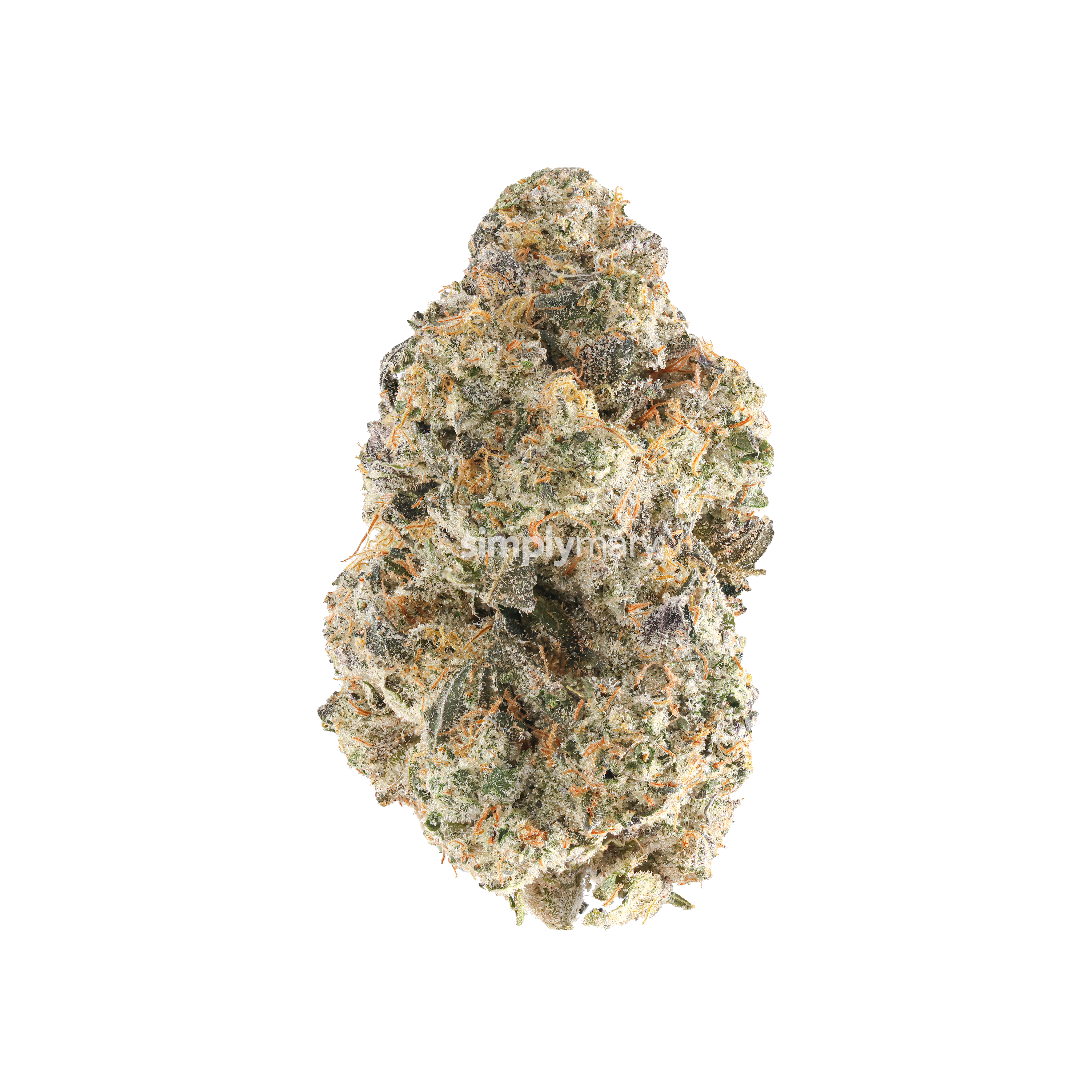 Animal Cookies