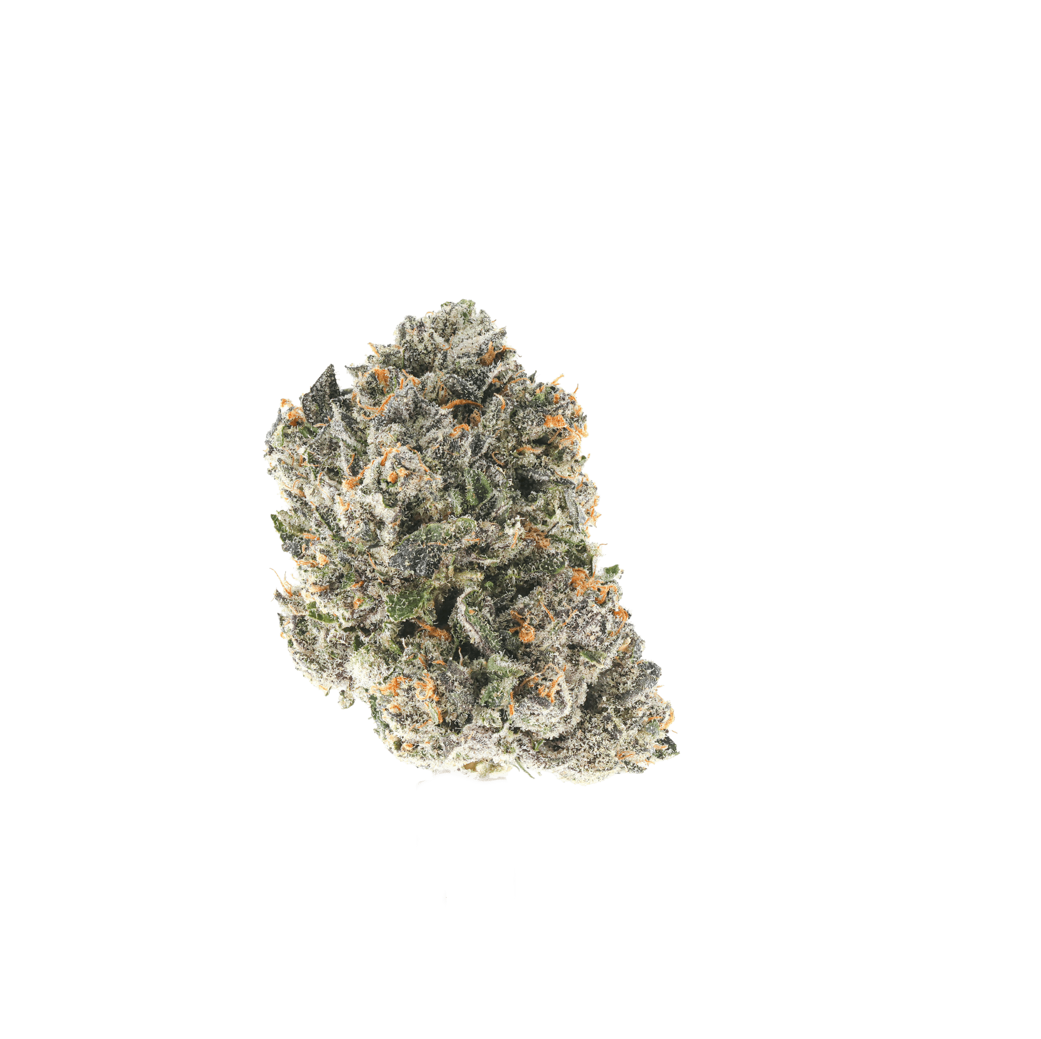 Bacio Della Gelato