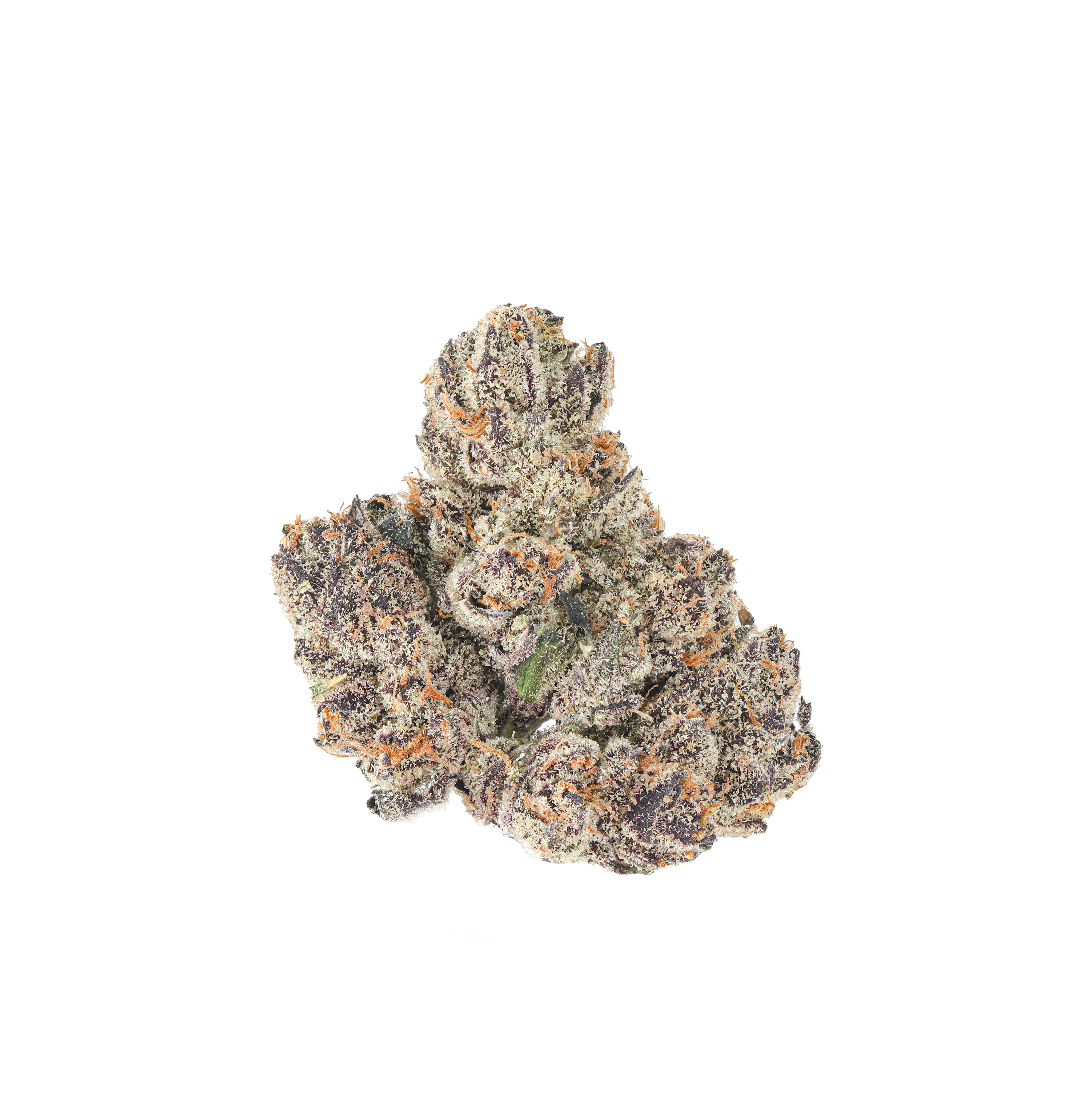 Blueberry Yogurt