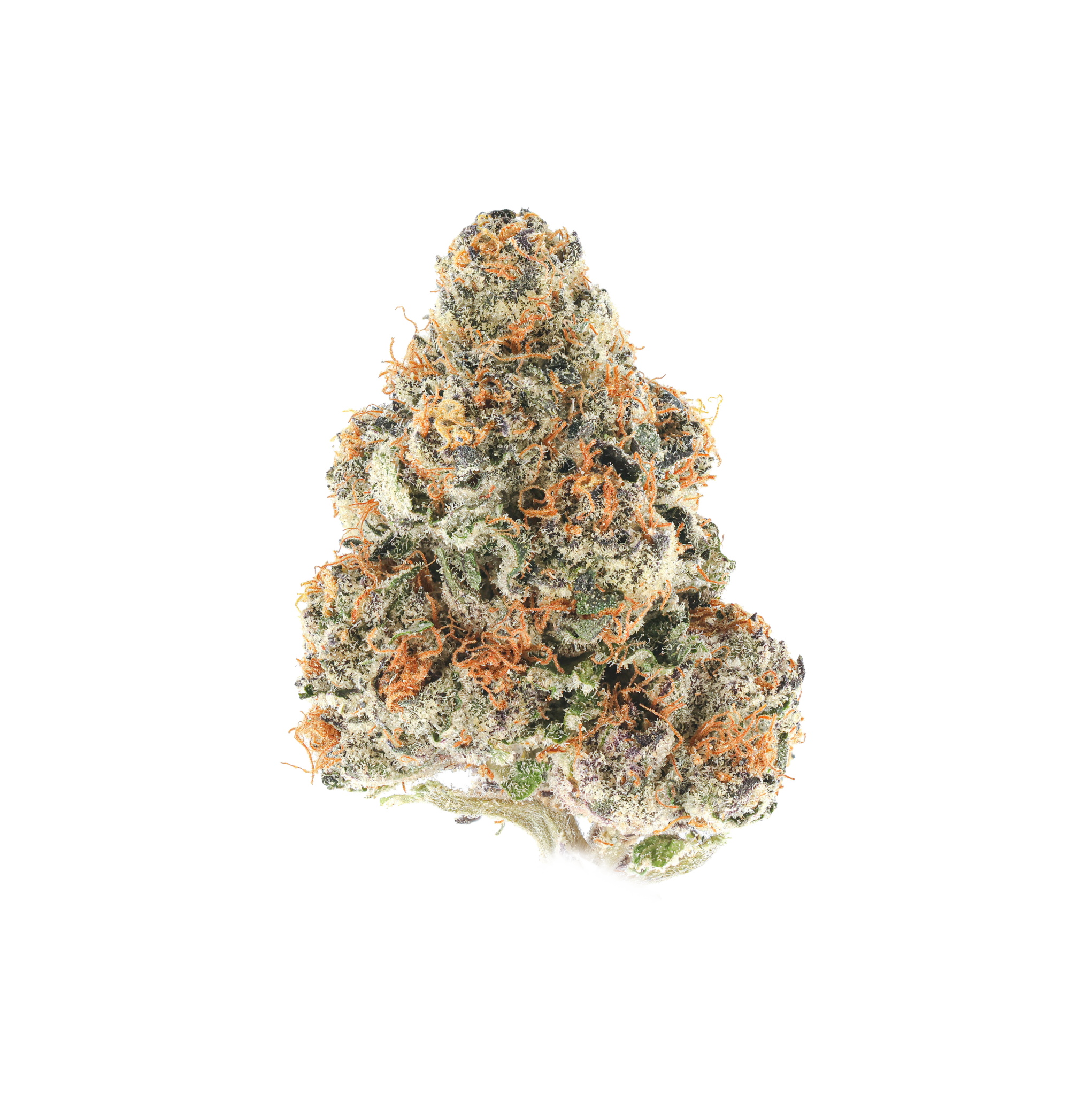 Black Lemons