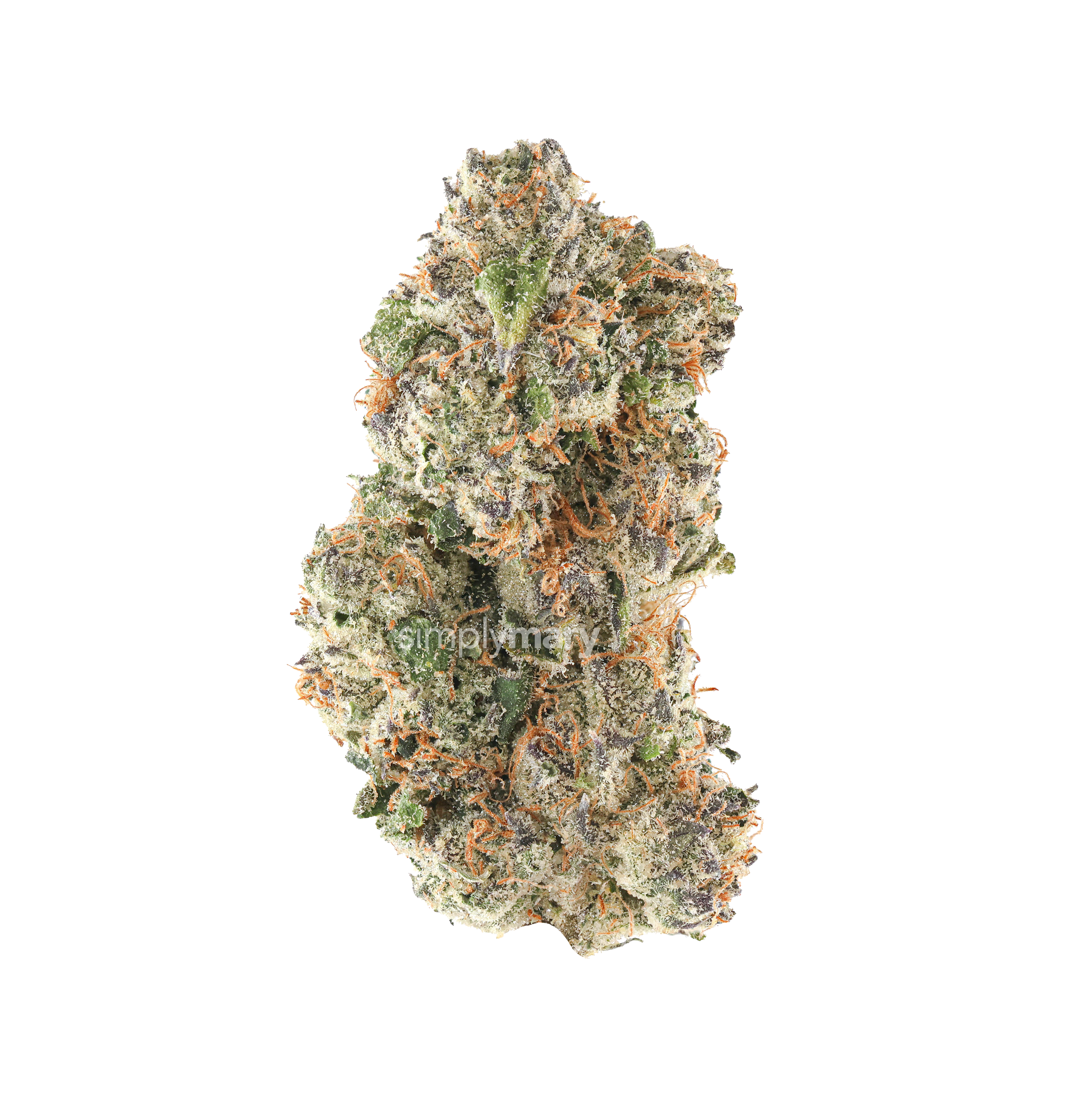 Blue Cookies