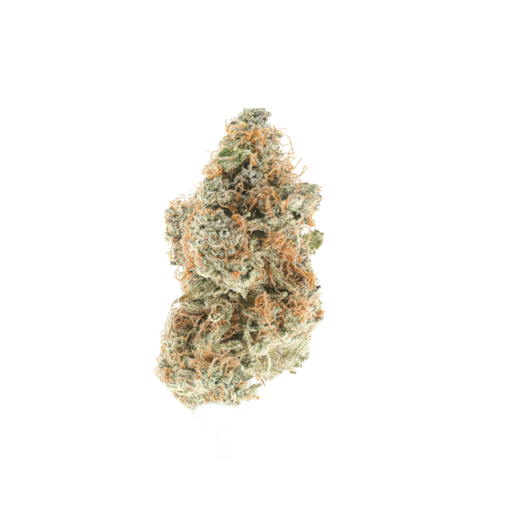 Berry Tahoe