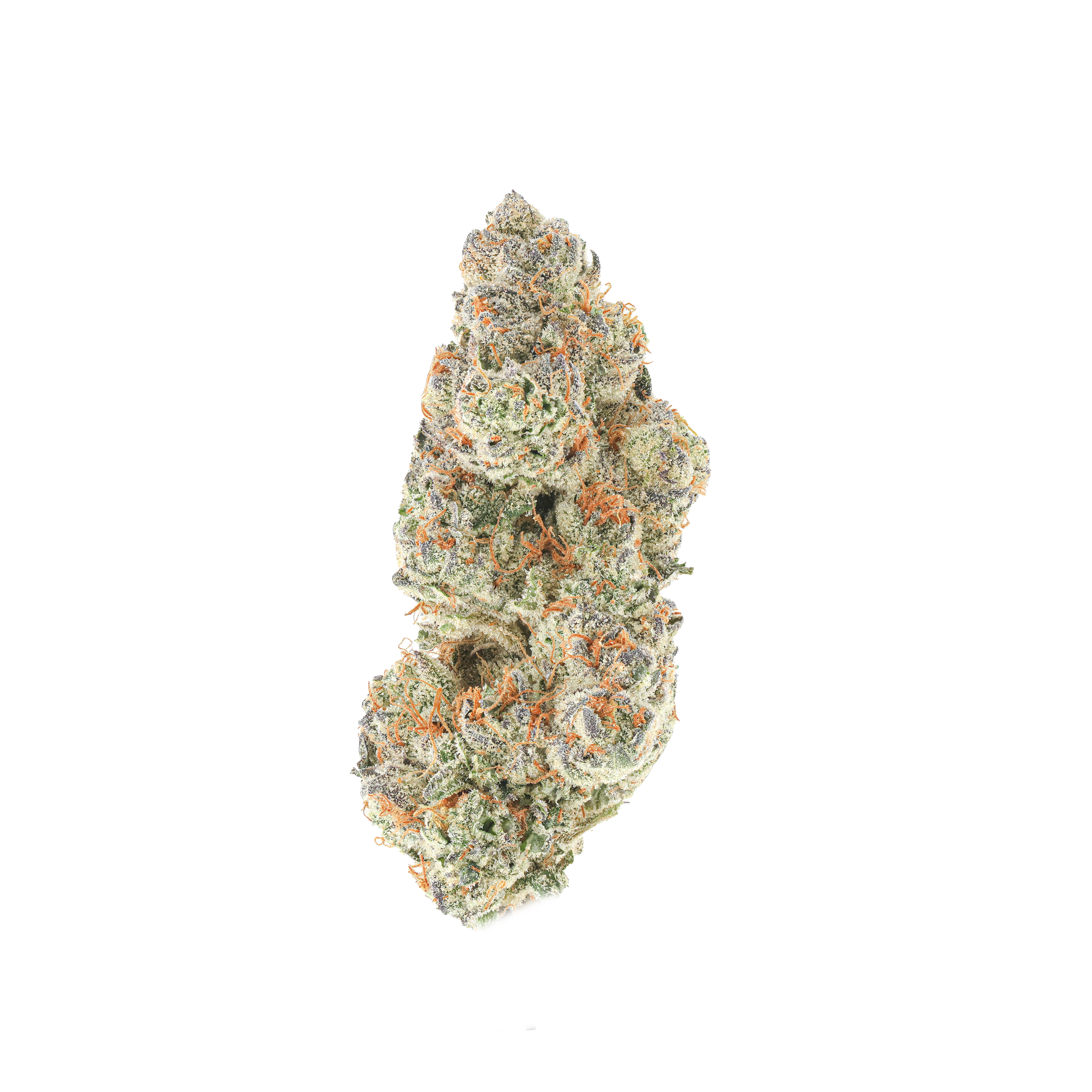 Blueberriez