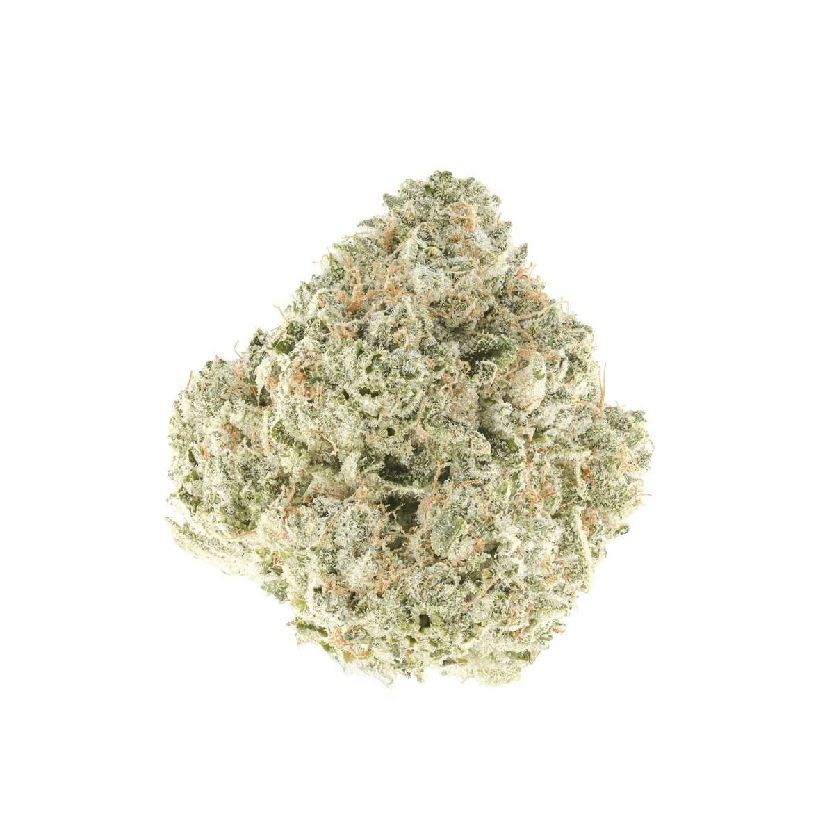 Brain Blazt