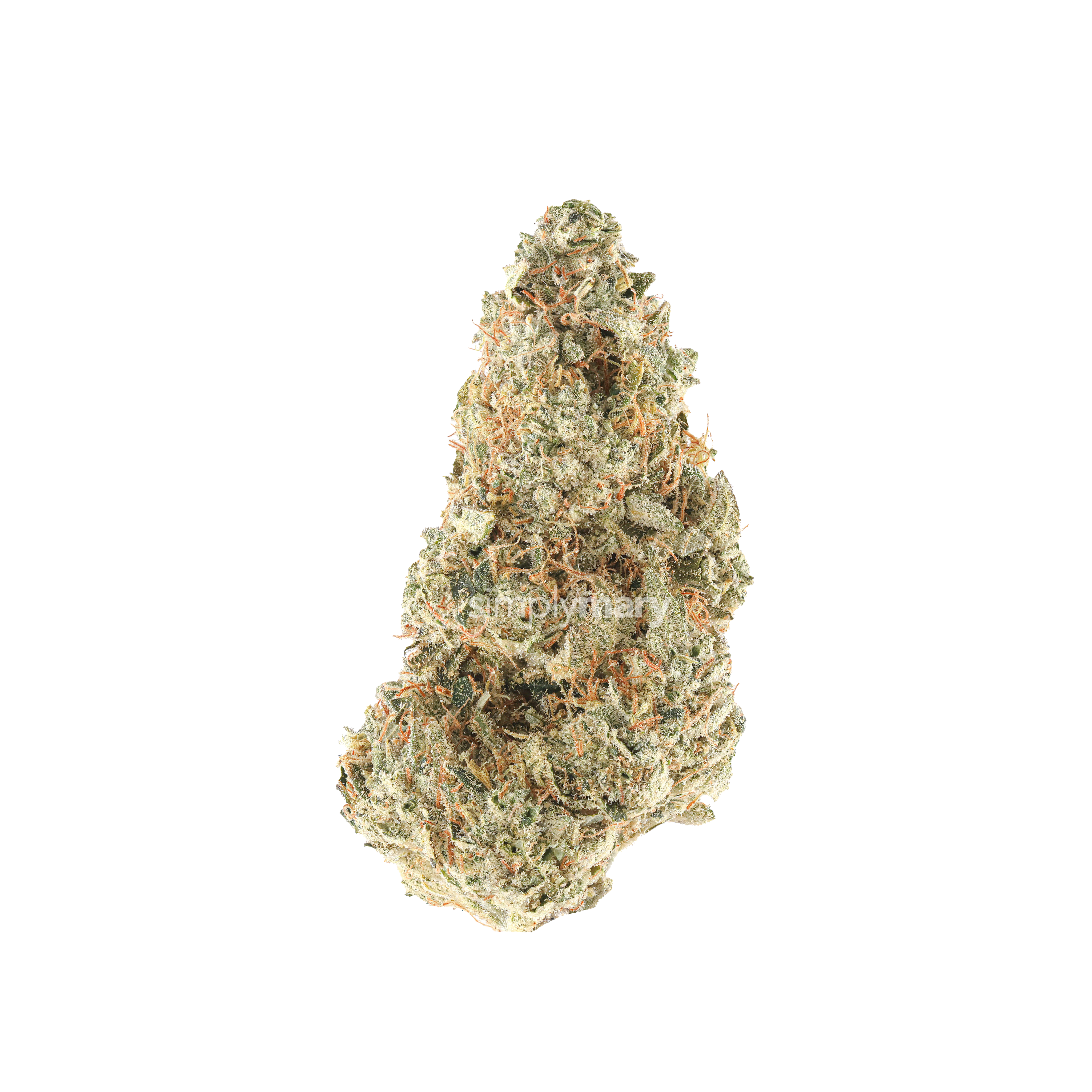 C4
