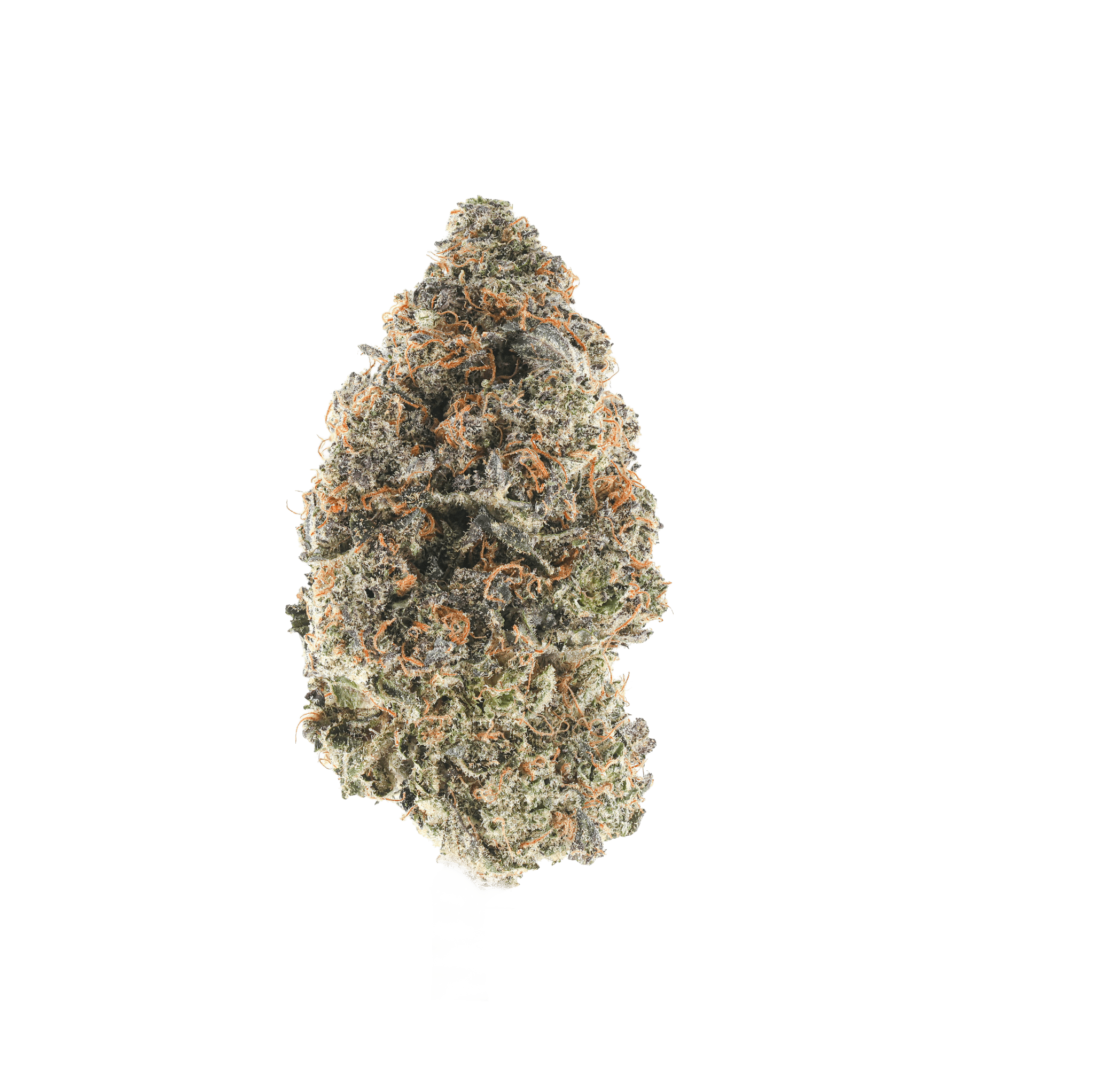 Pink Cheddar