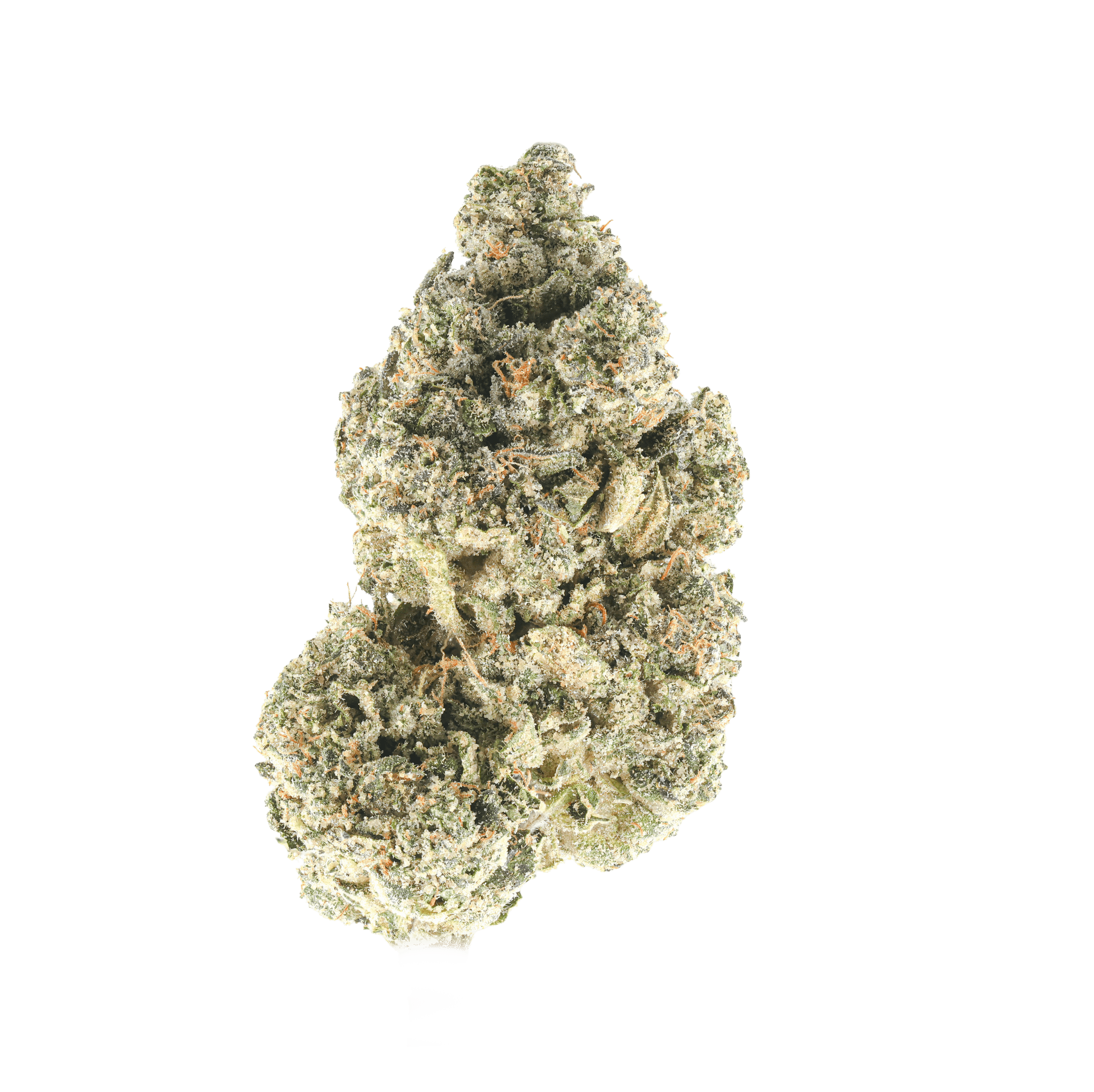 Cheetoad