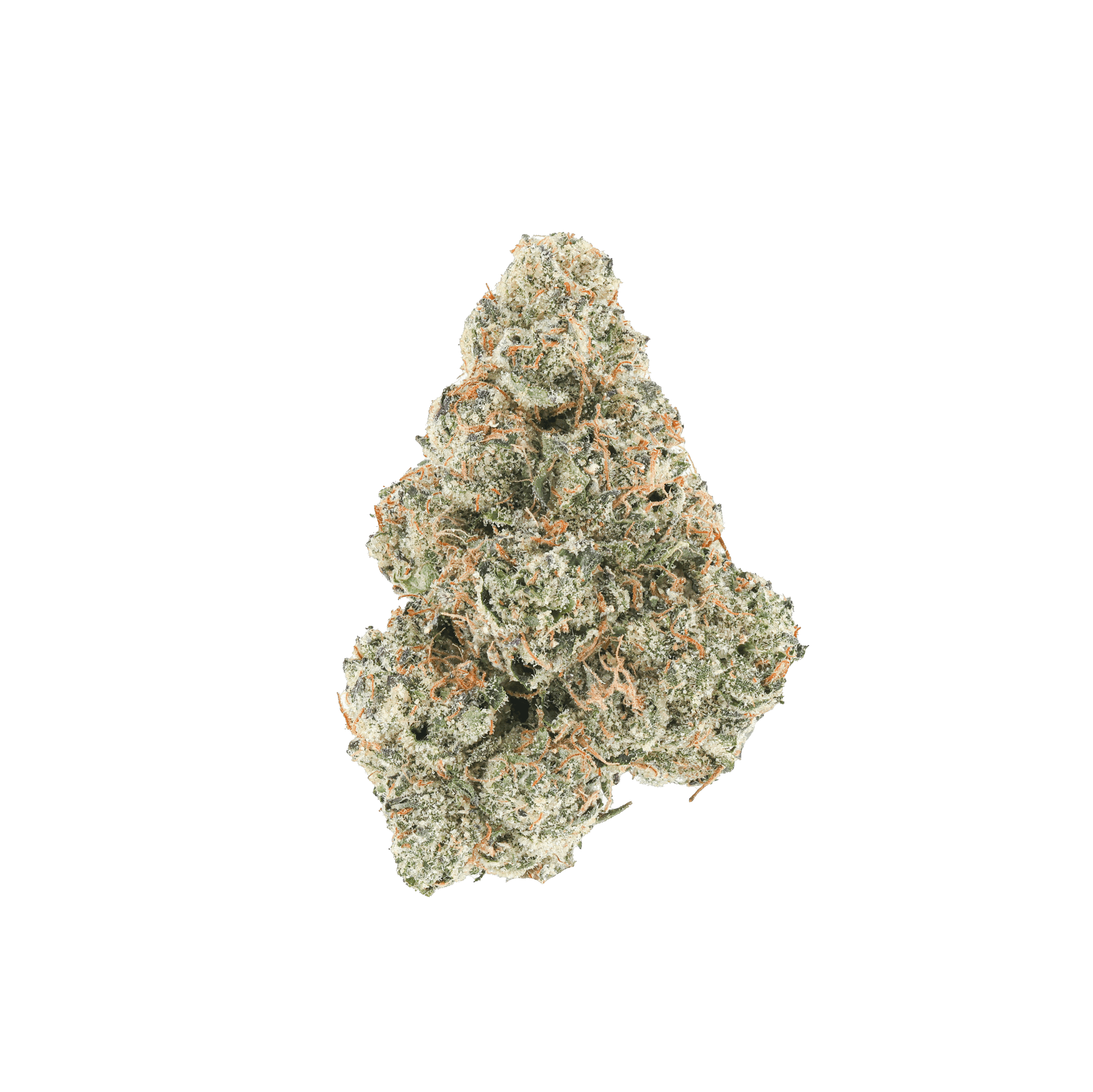 Cherry Zootiez