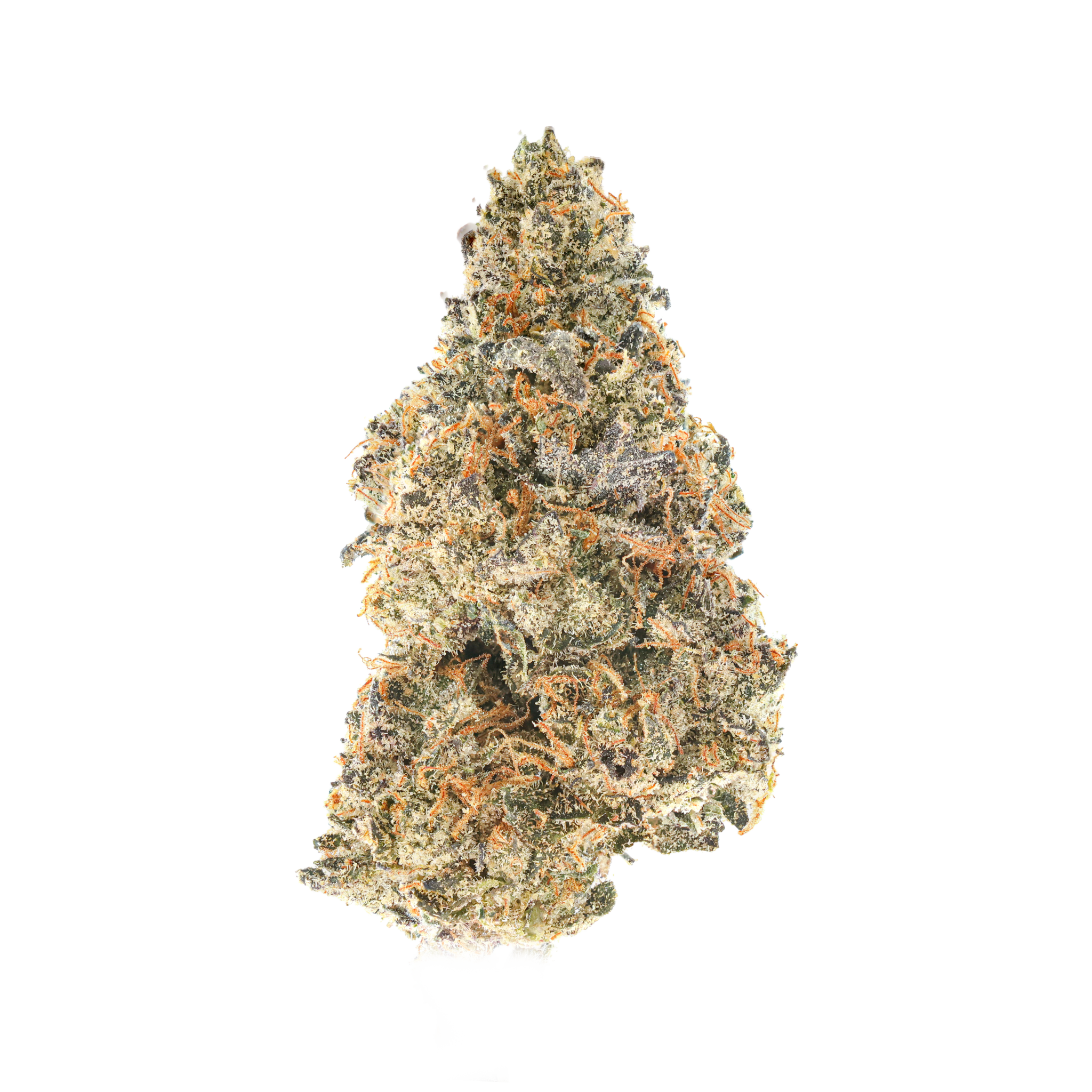 Cream Pie