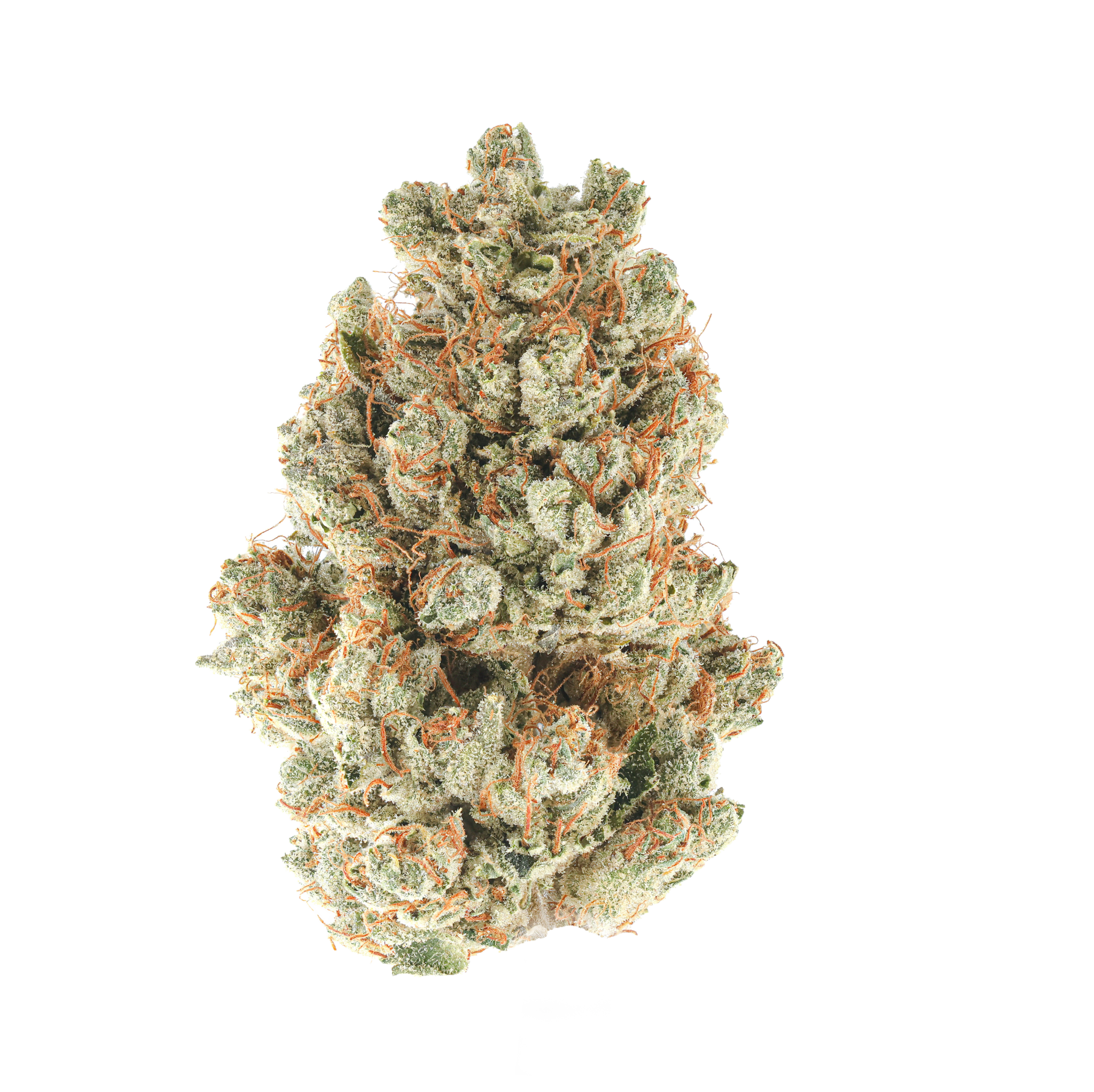 Crippy OG Kush