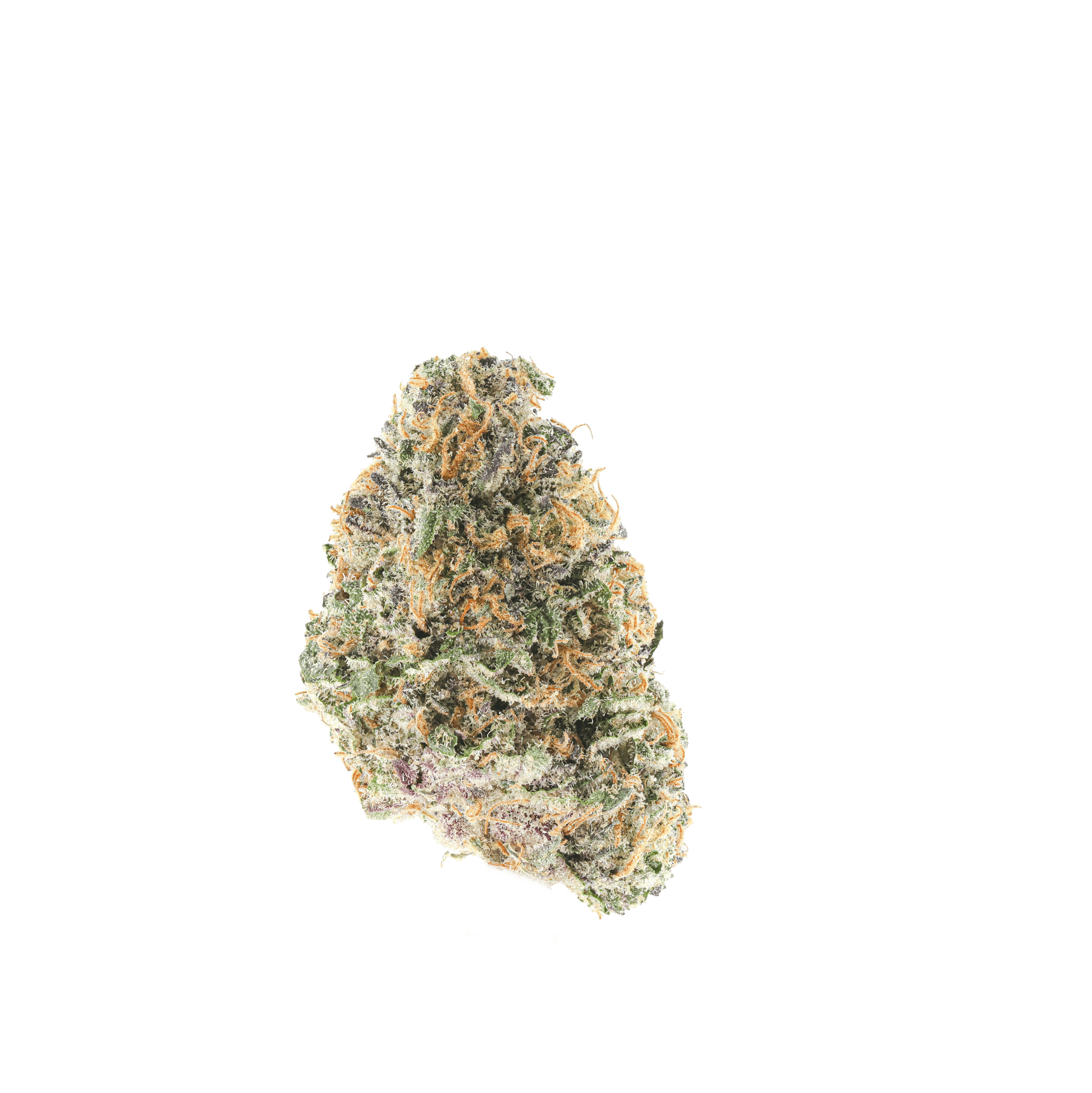 Dark Matter