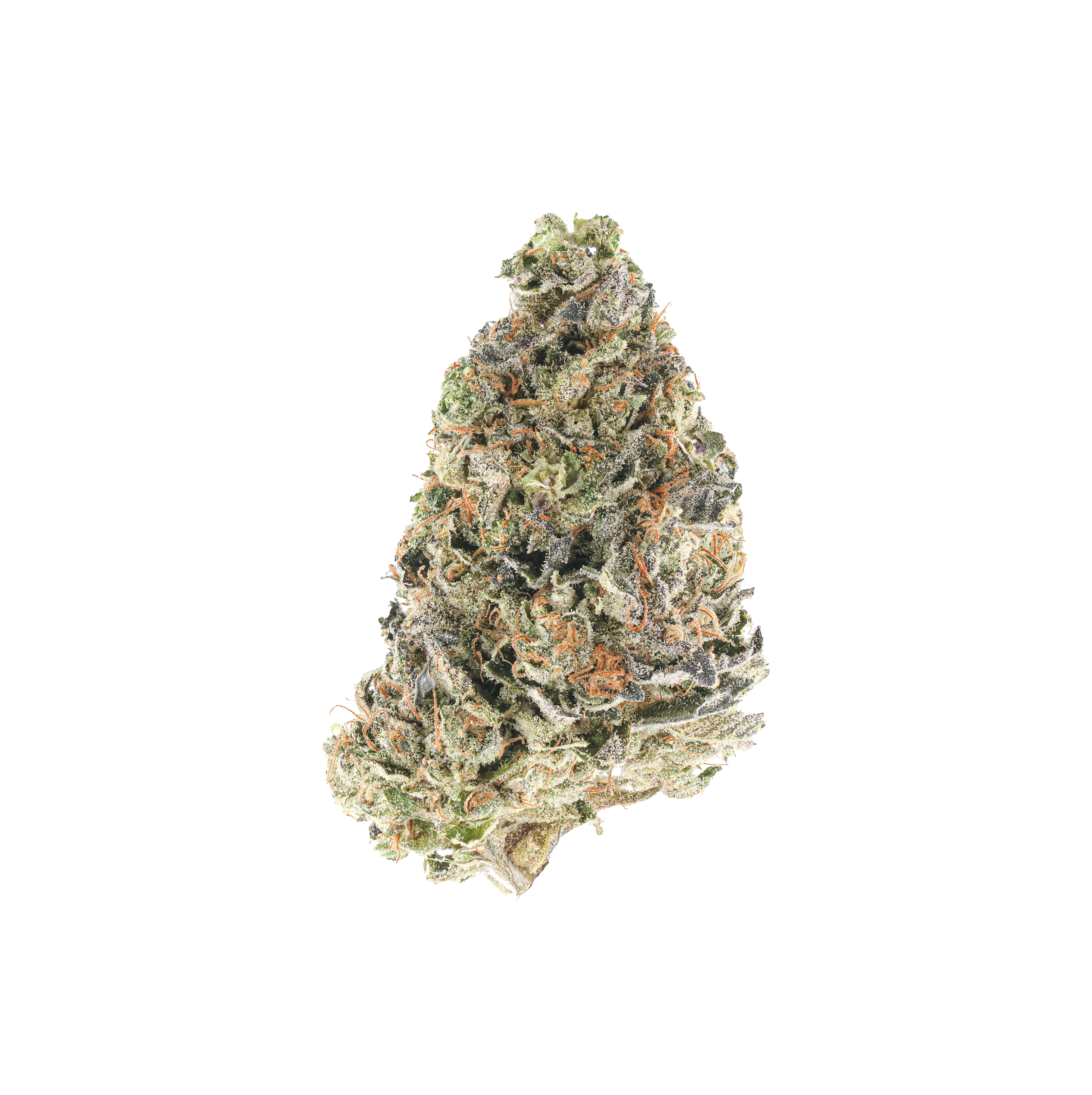 Dolato