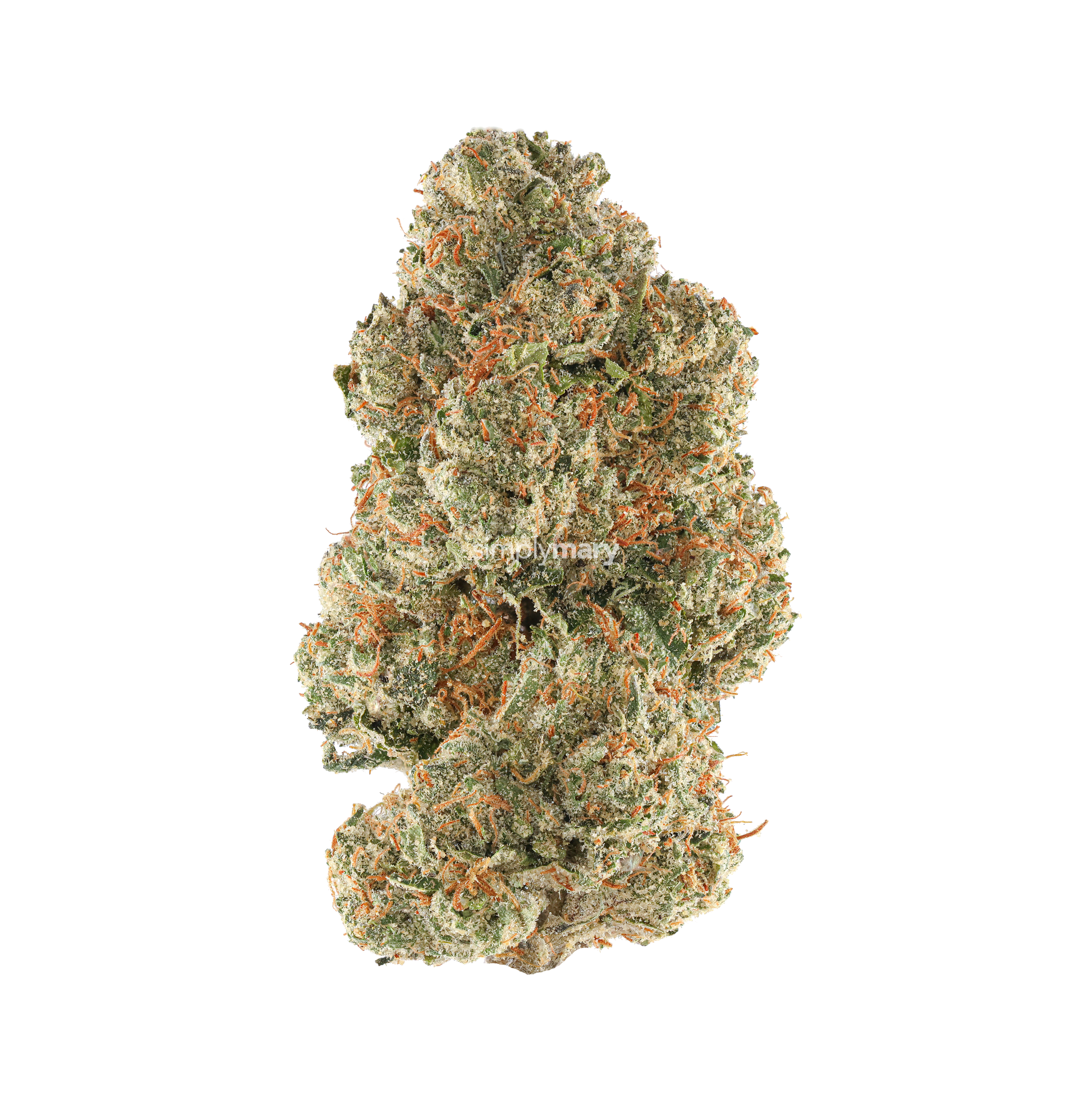 Electric Sugar