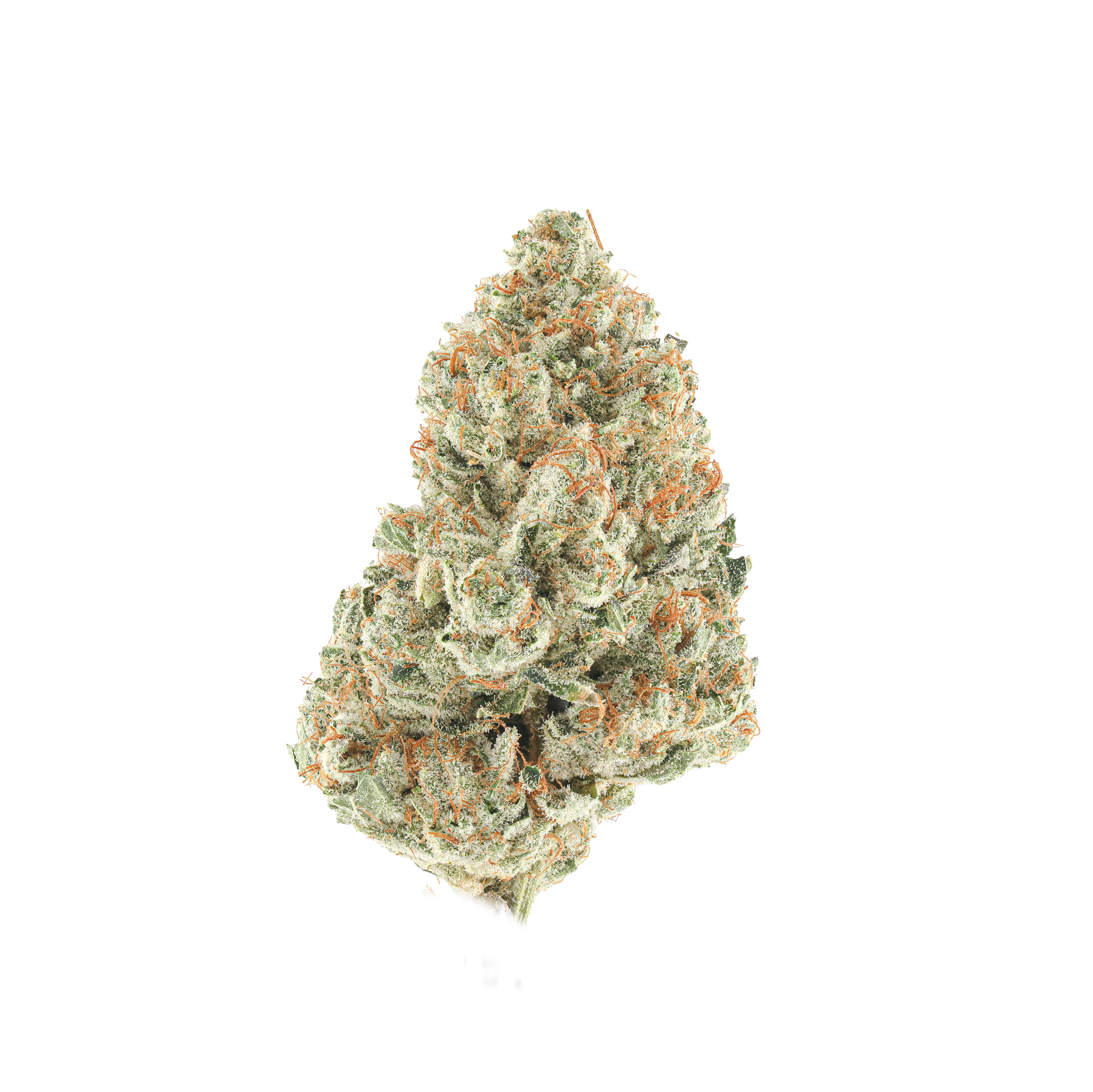 Big Erik OG