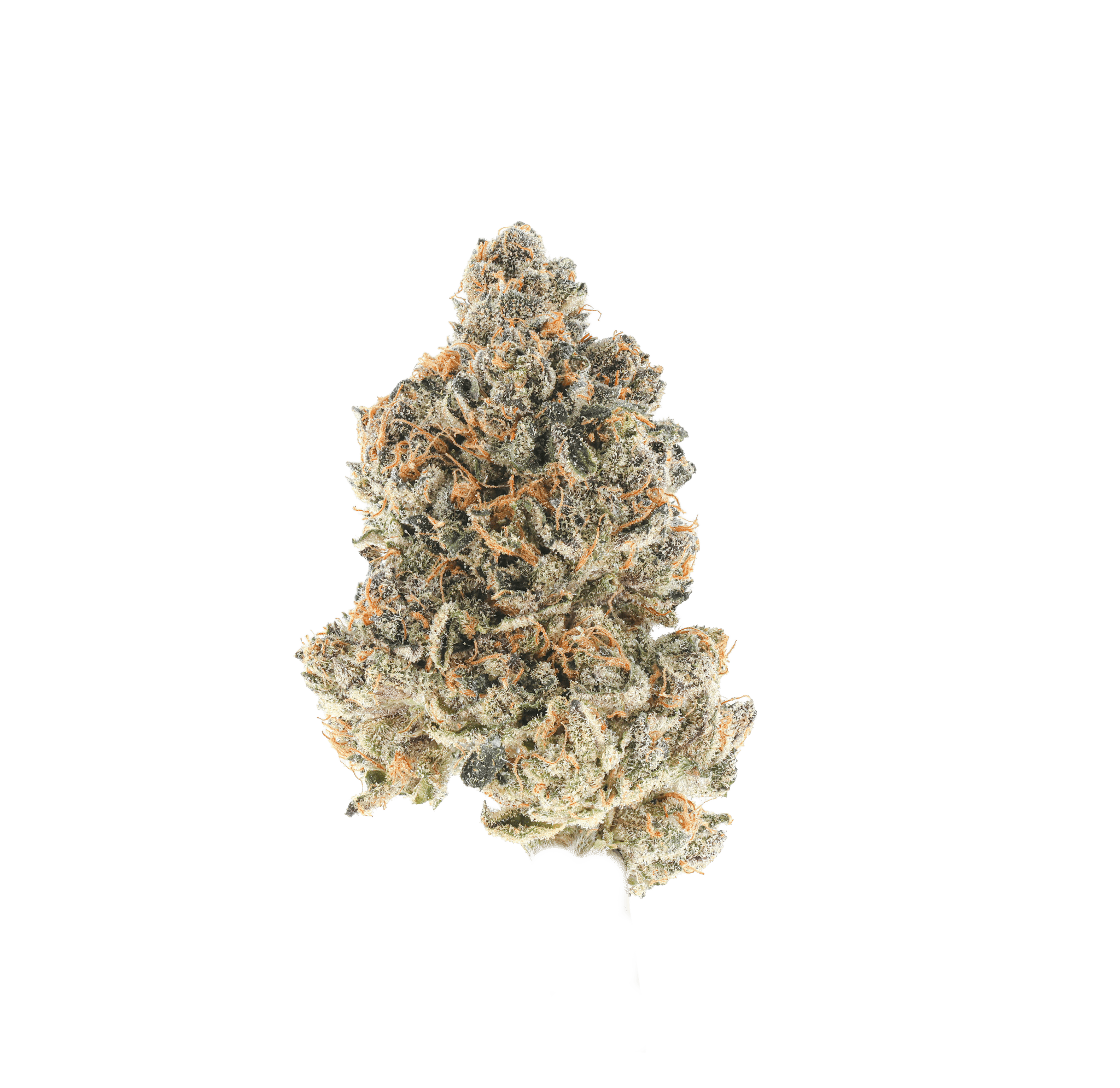 Forum Cookies