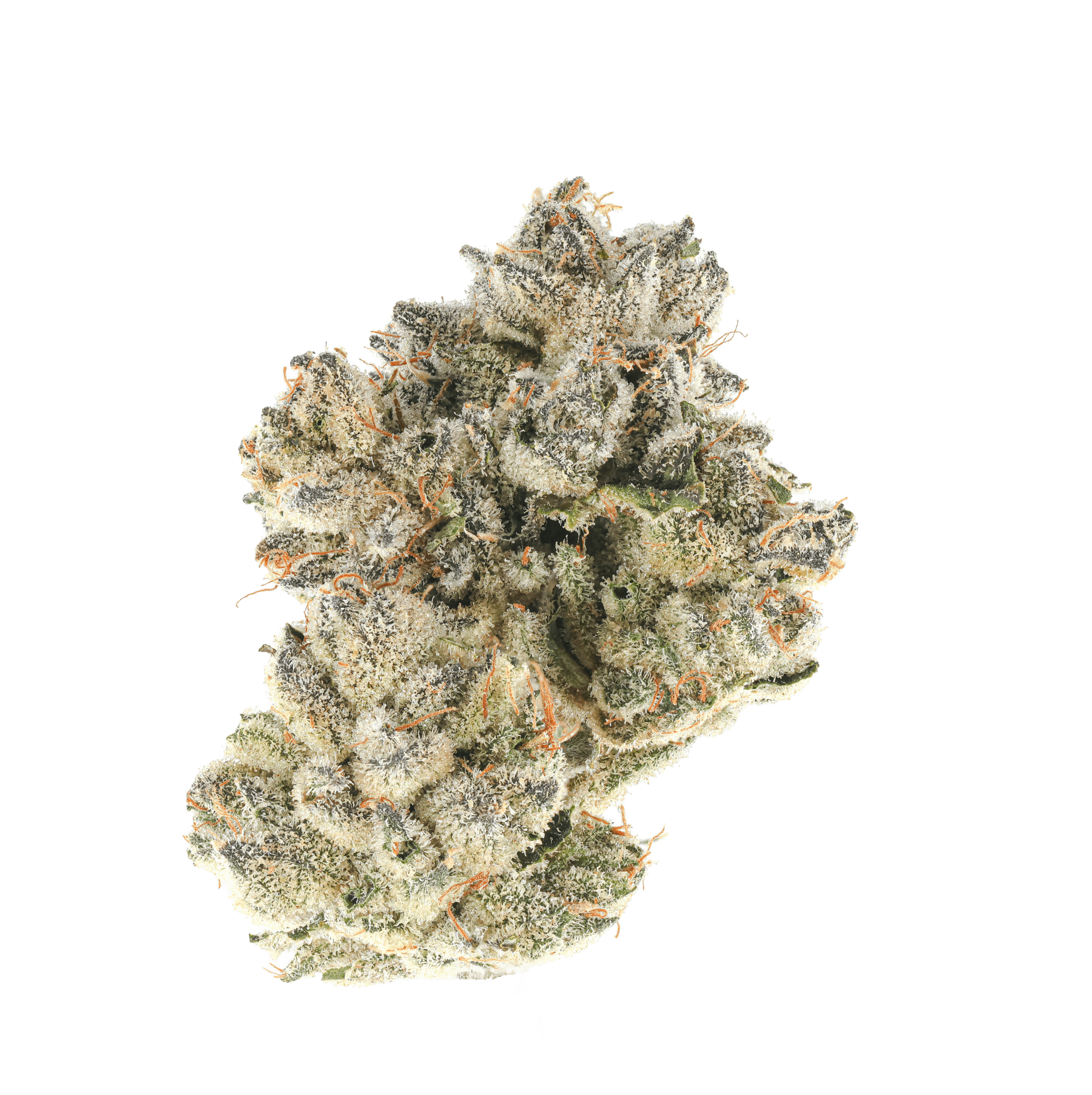 Frosty
