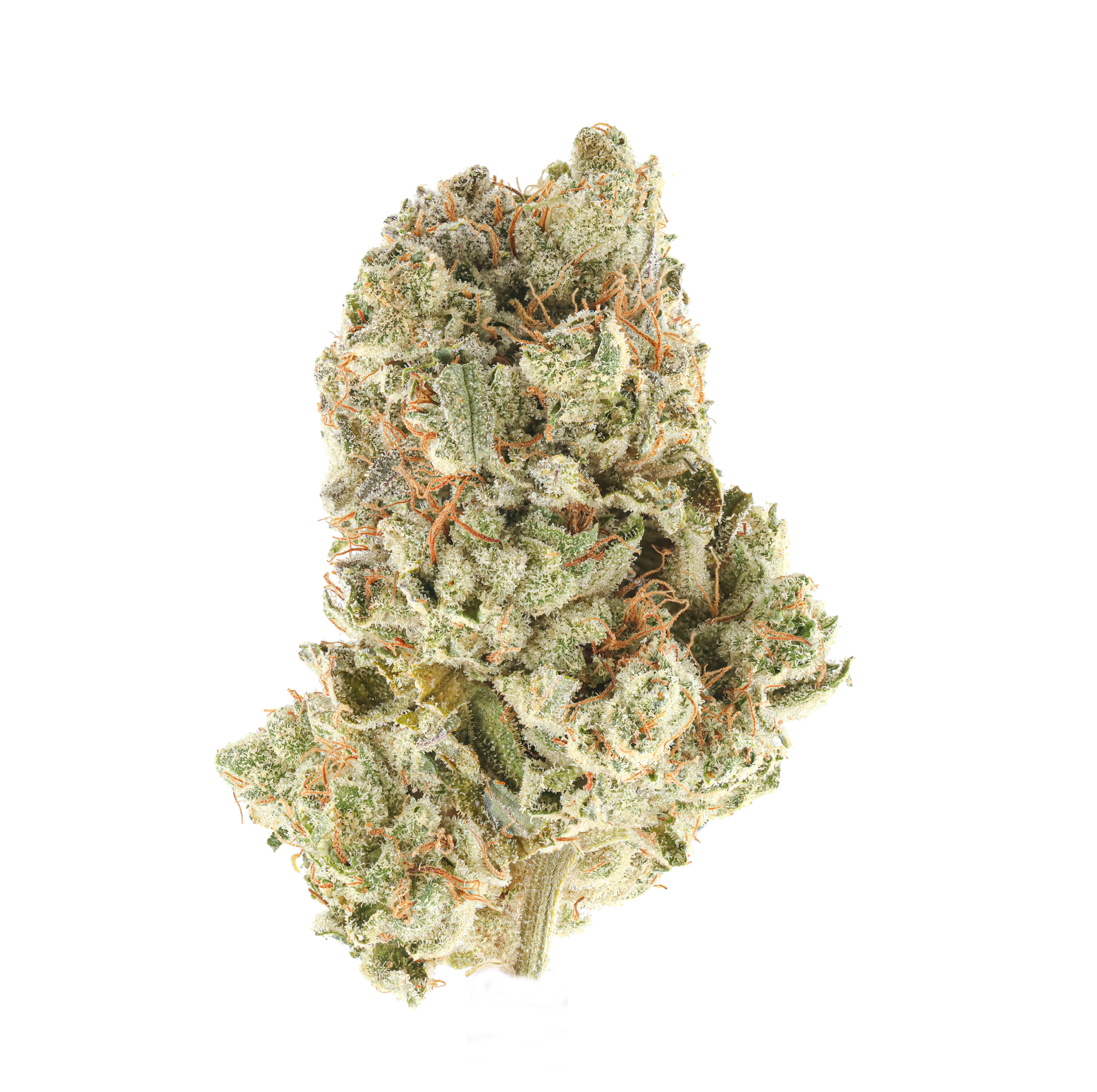 GG4