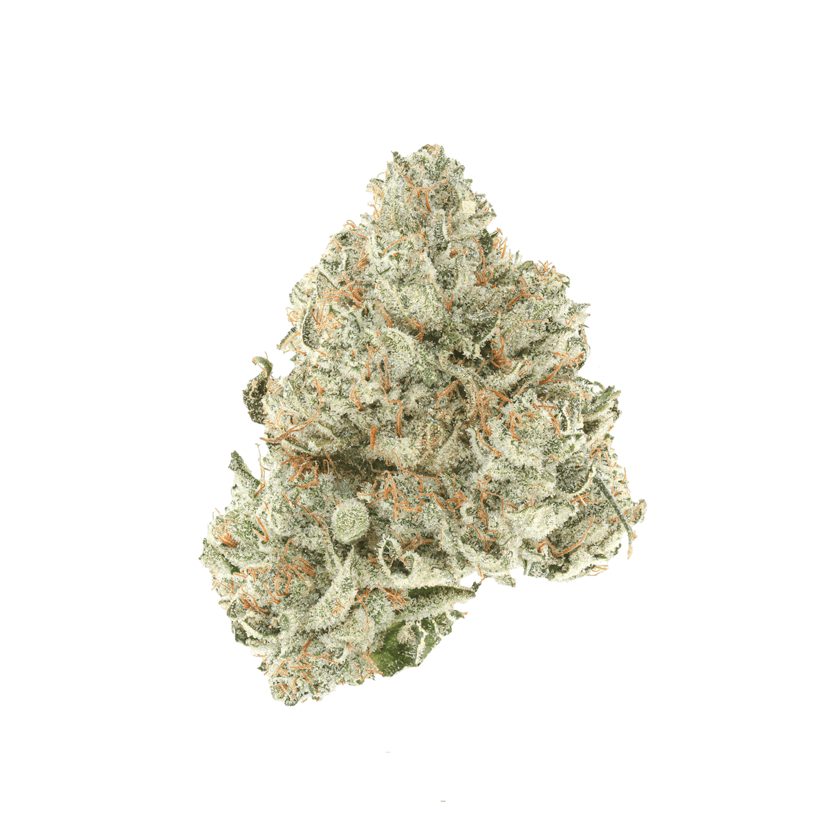 GG4