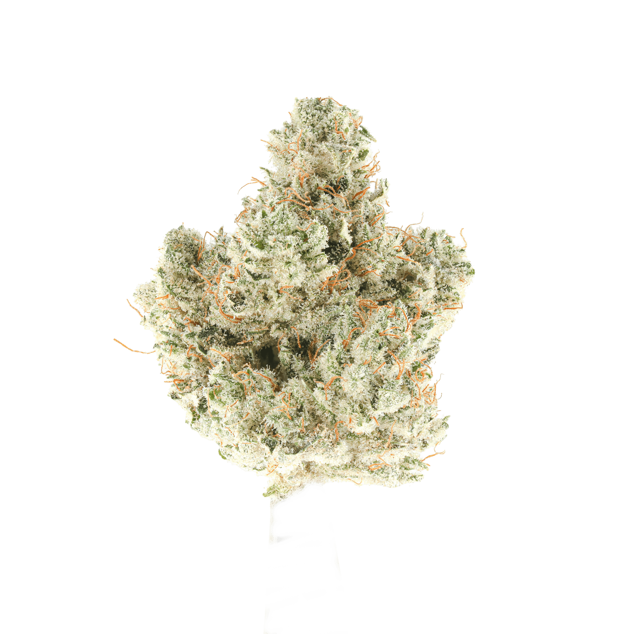 Gorilla Glue #4