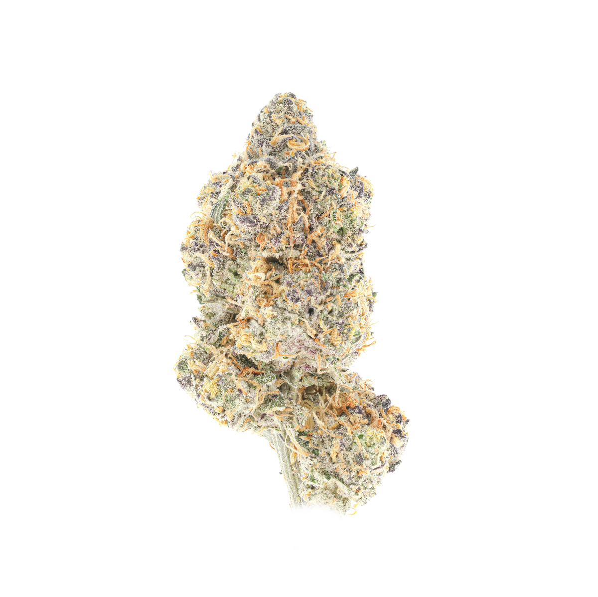 Gotti