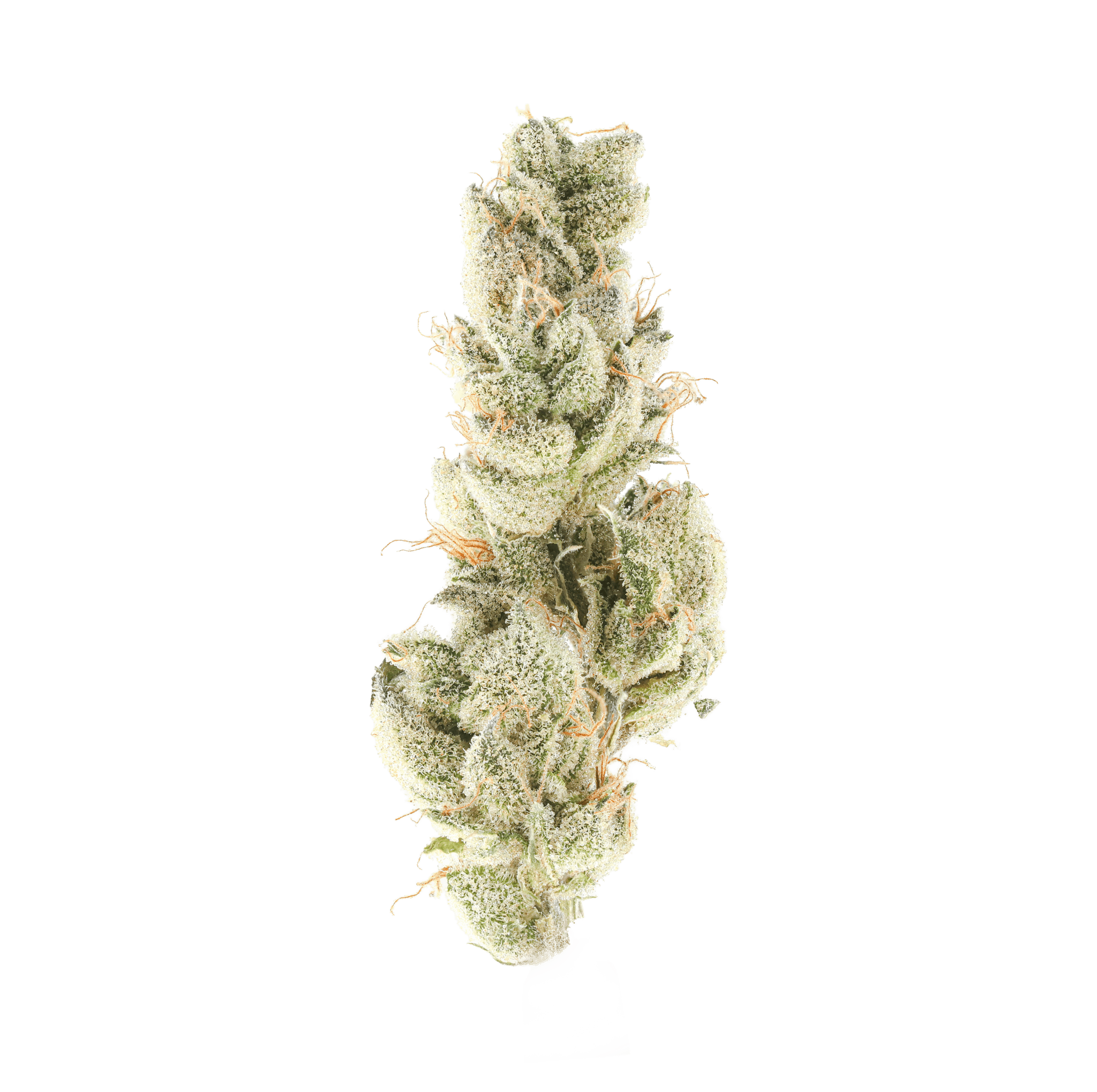 Grandma Cookies
