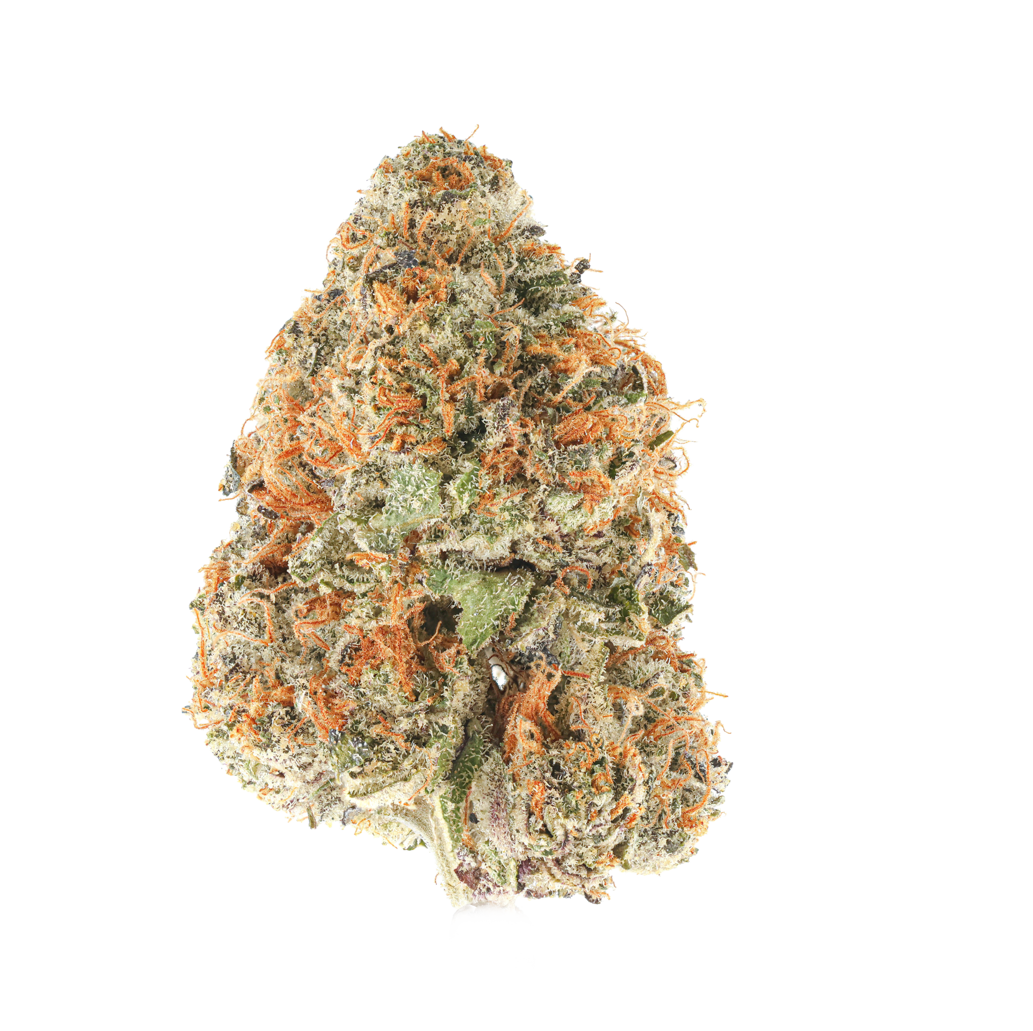Green Dawg