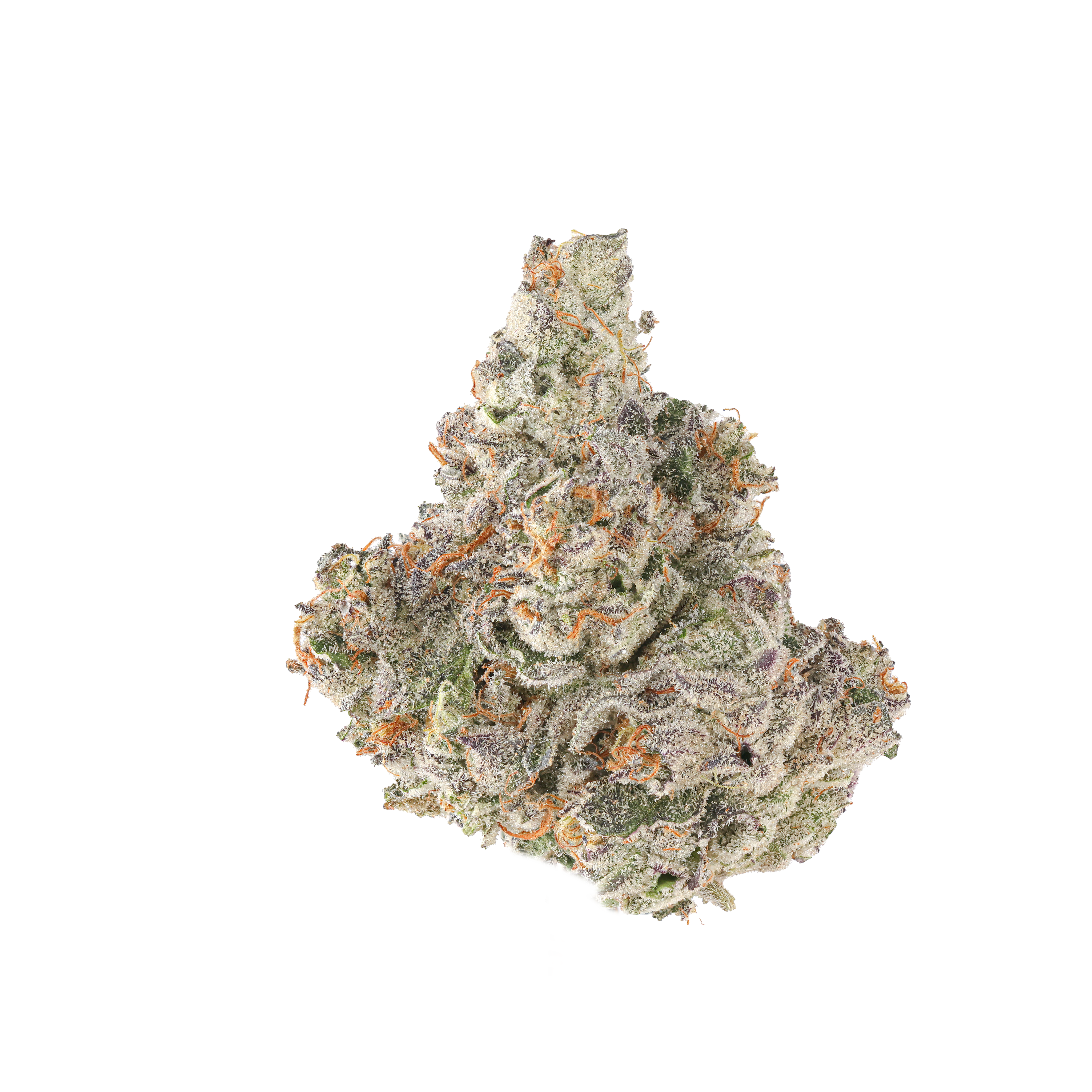 Guala