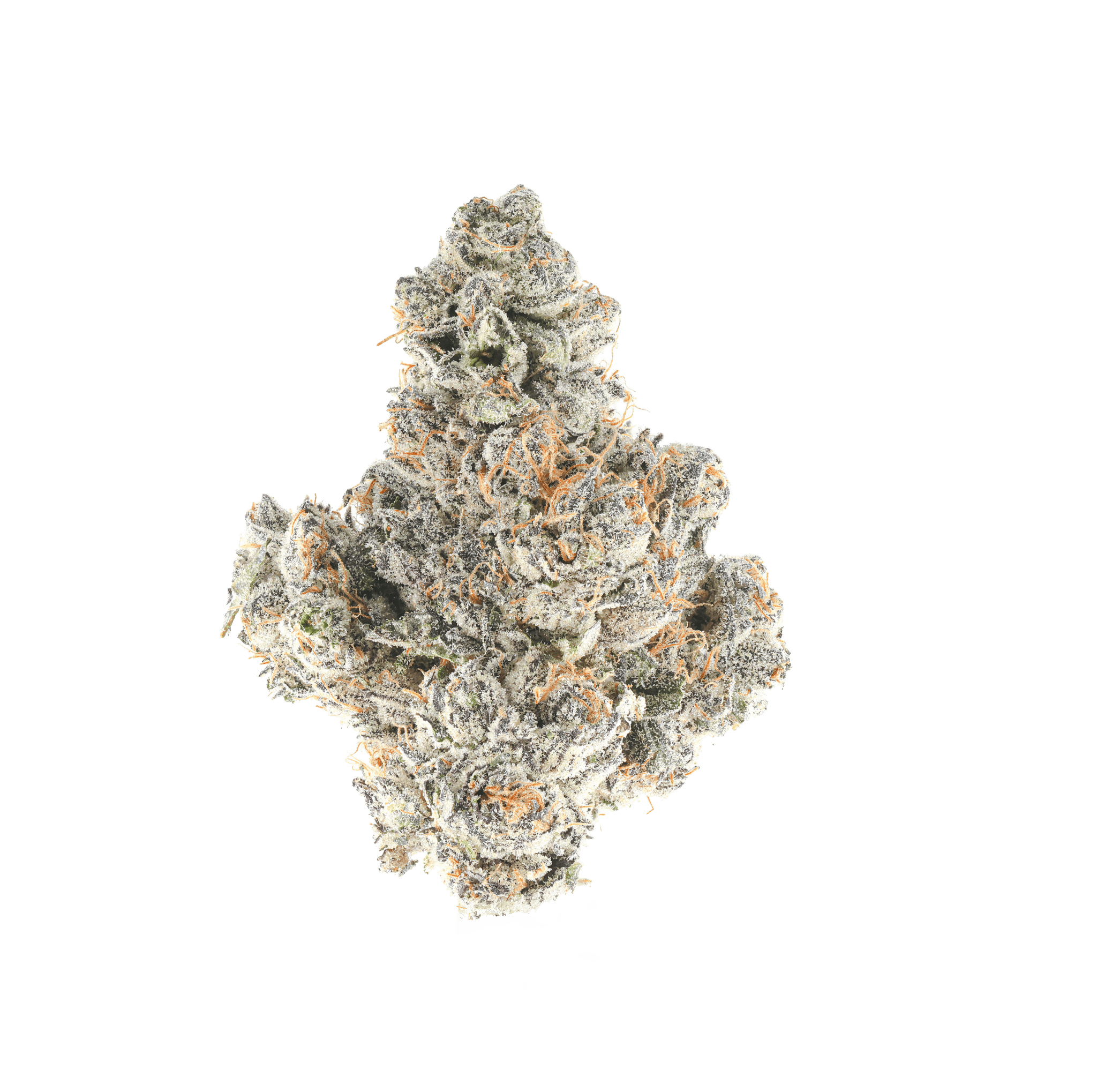 Guala Berry