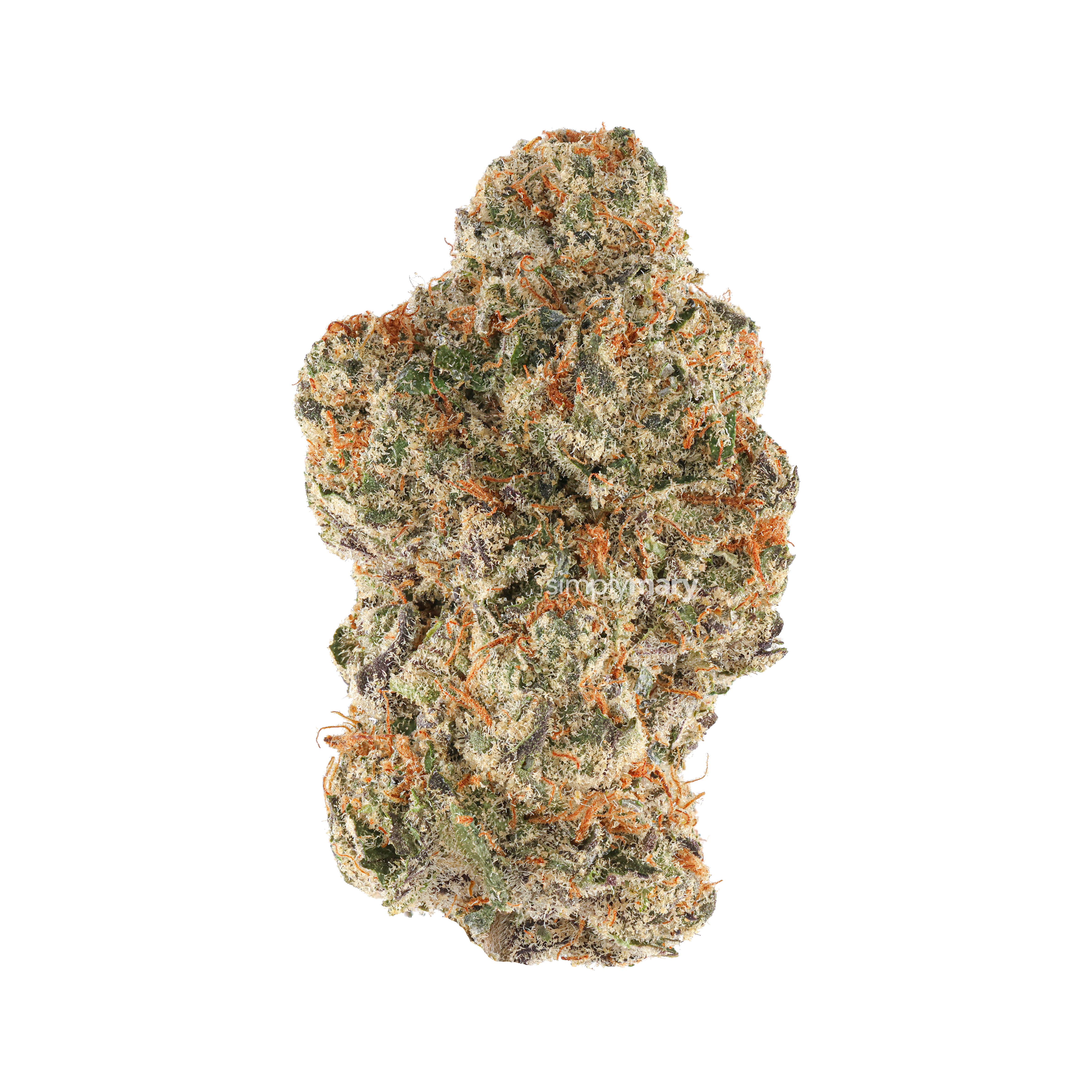 Guava Gelato