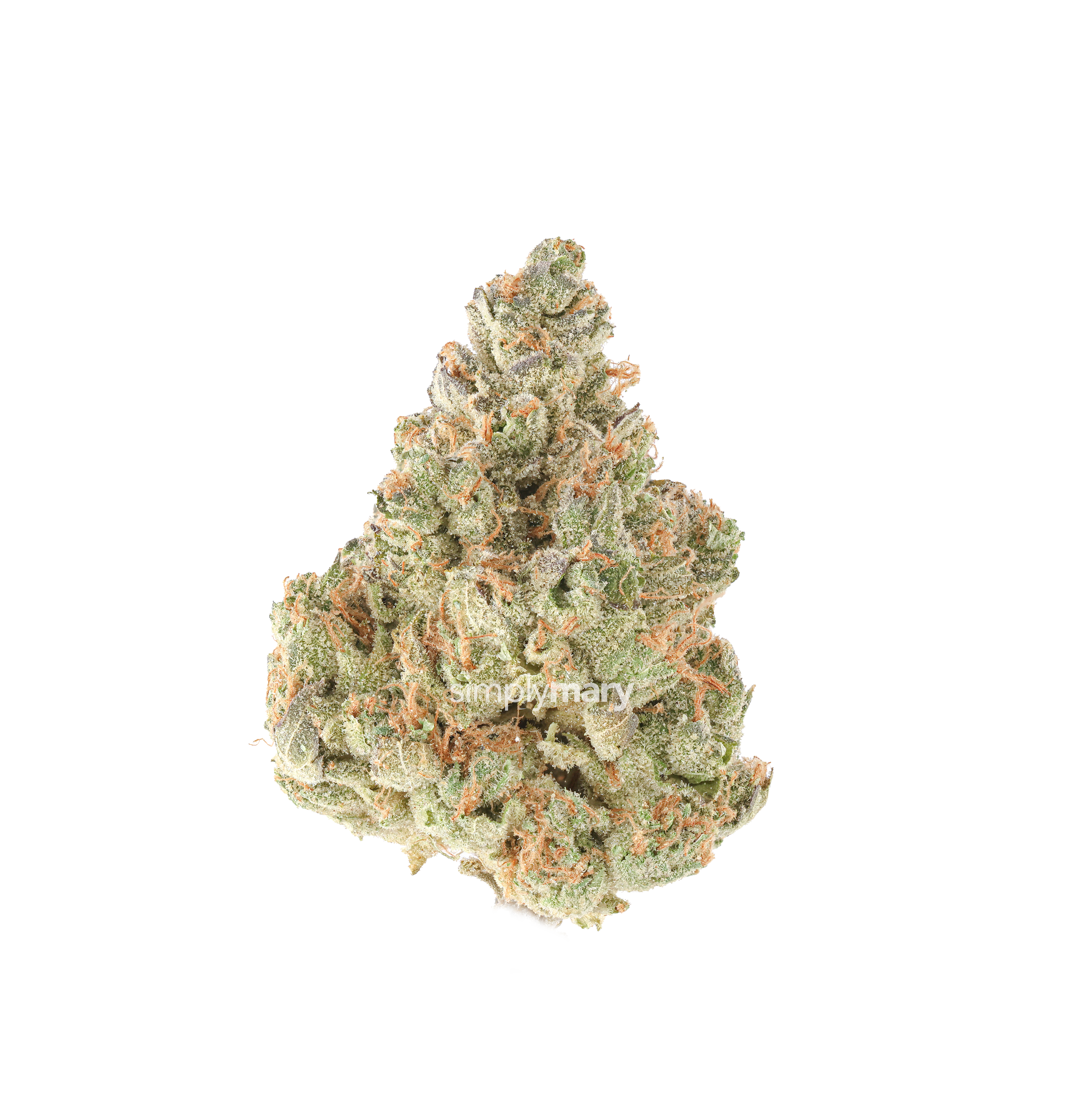 Guava