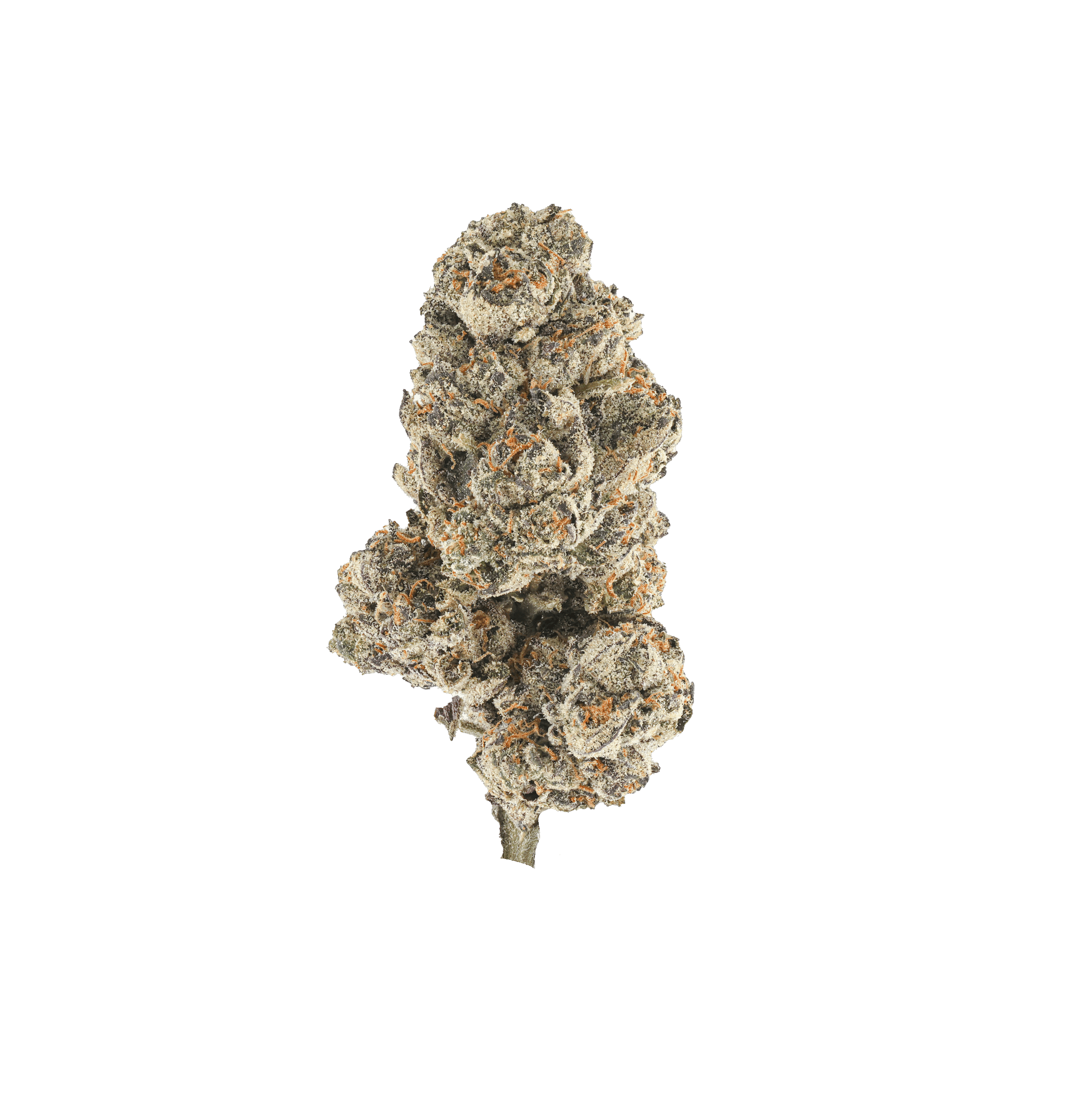 Honey Comb Pave