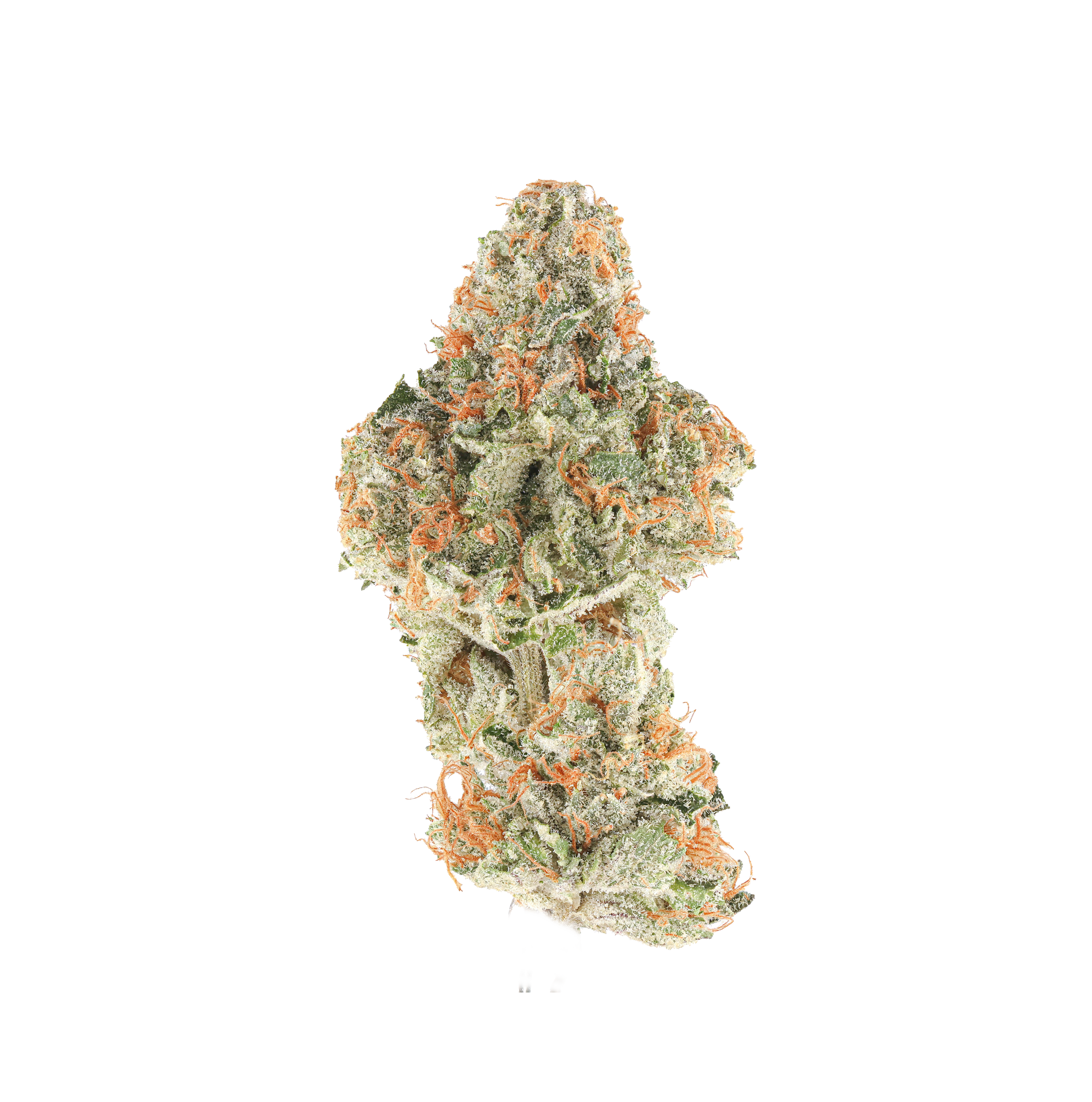 James OG