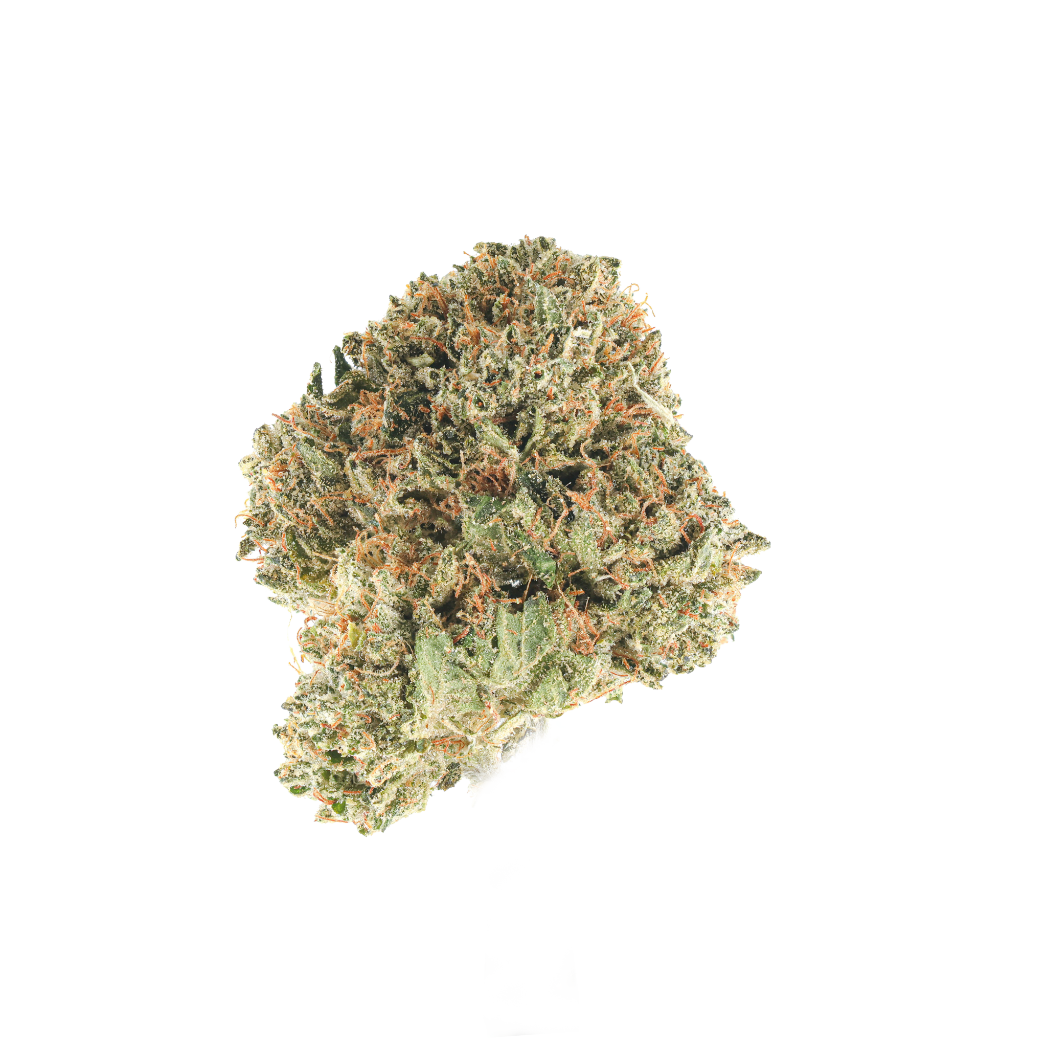 Kosher Kush