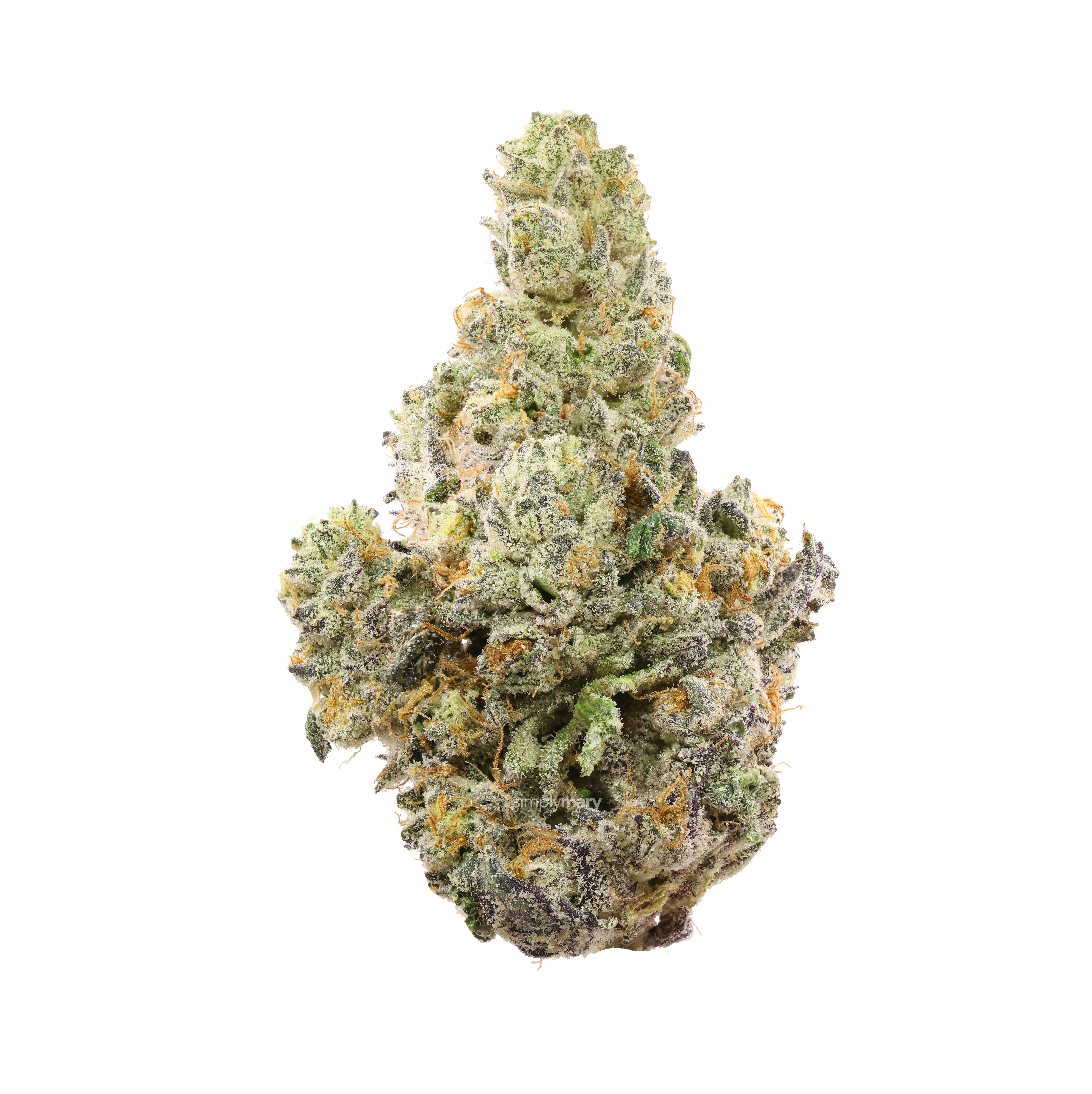LA Pop Rocks