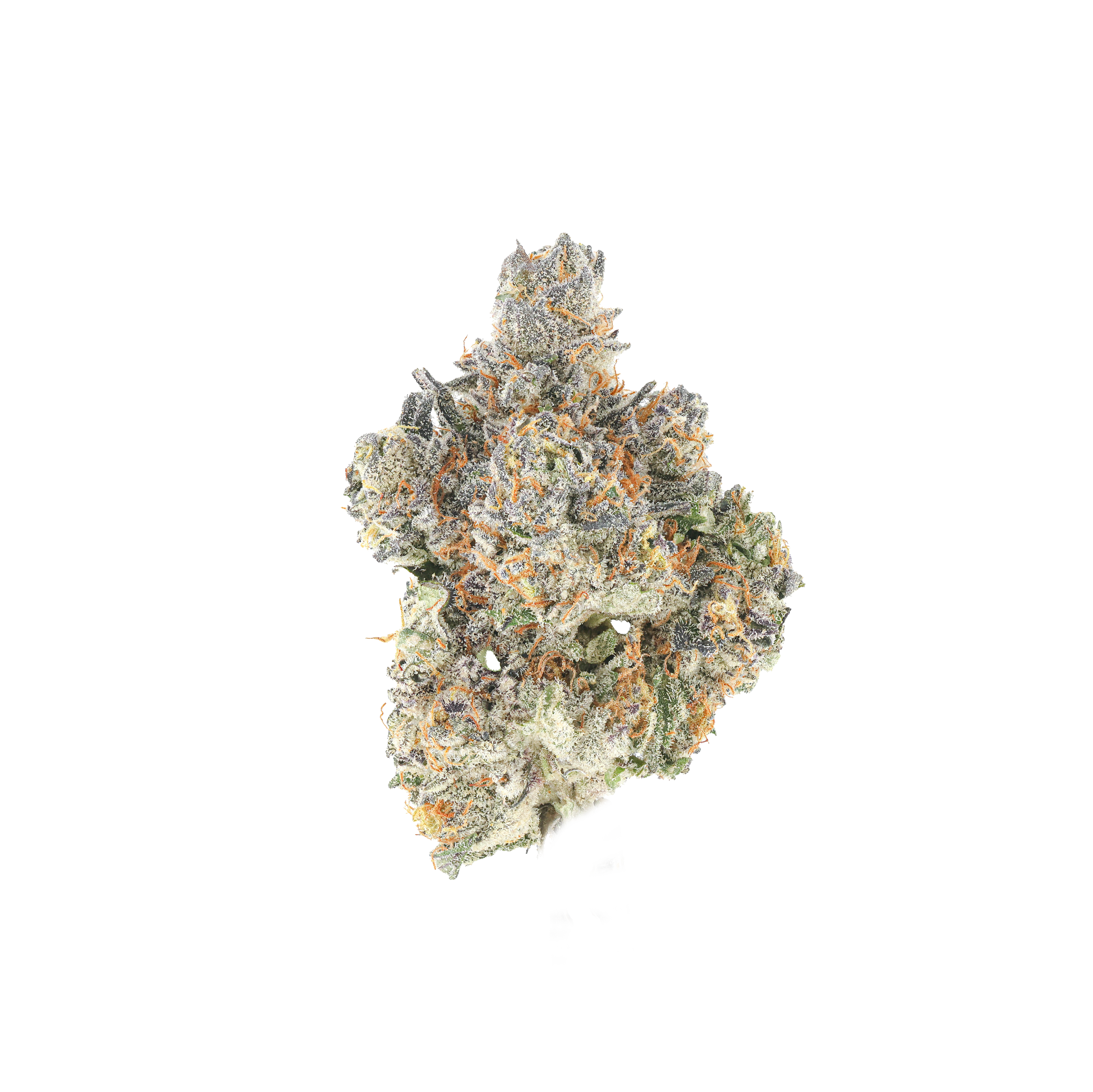 Lemon Drop