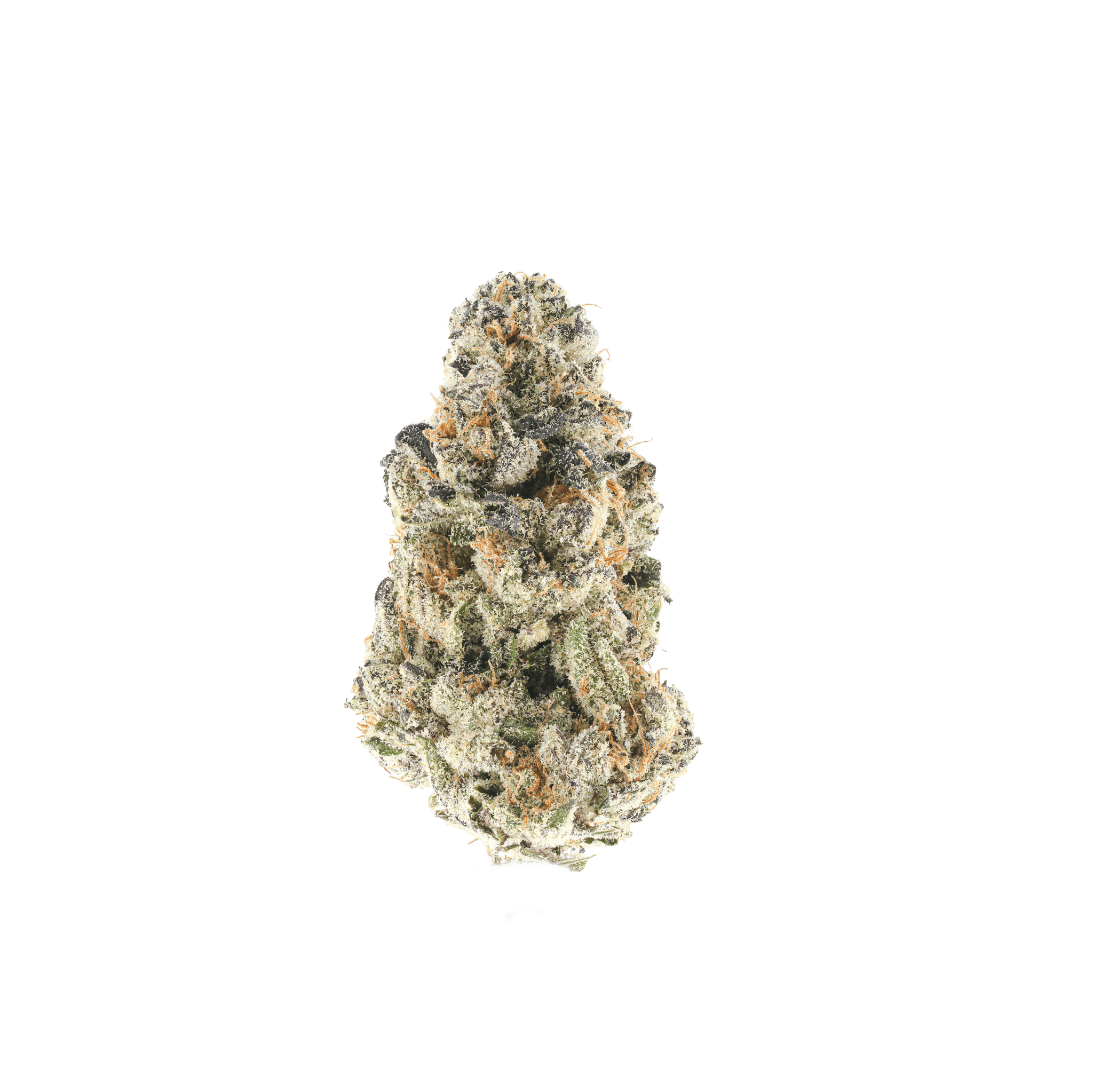 Lemon Izee